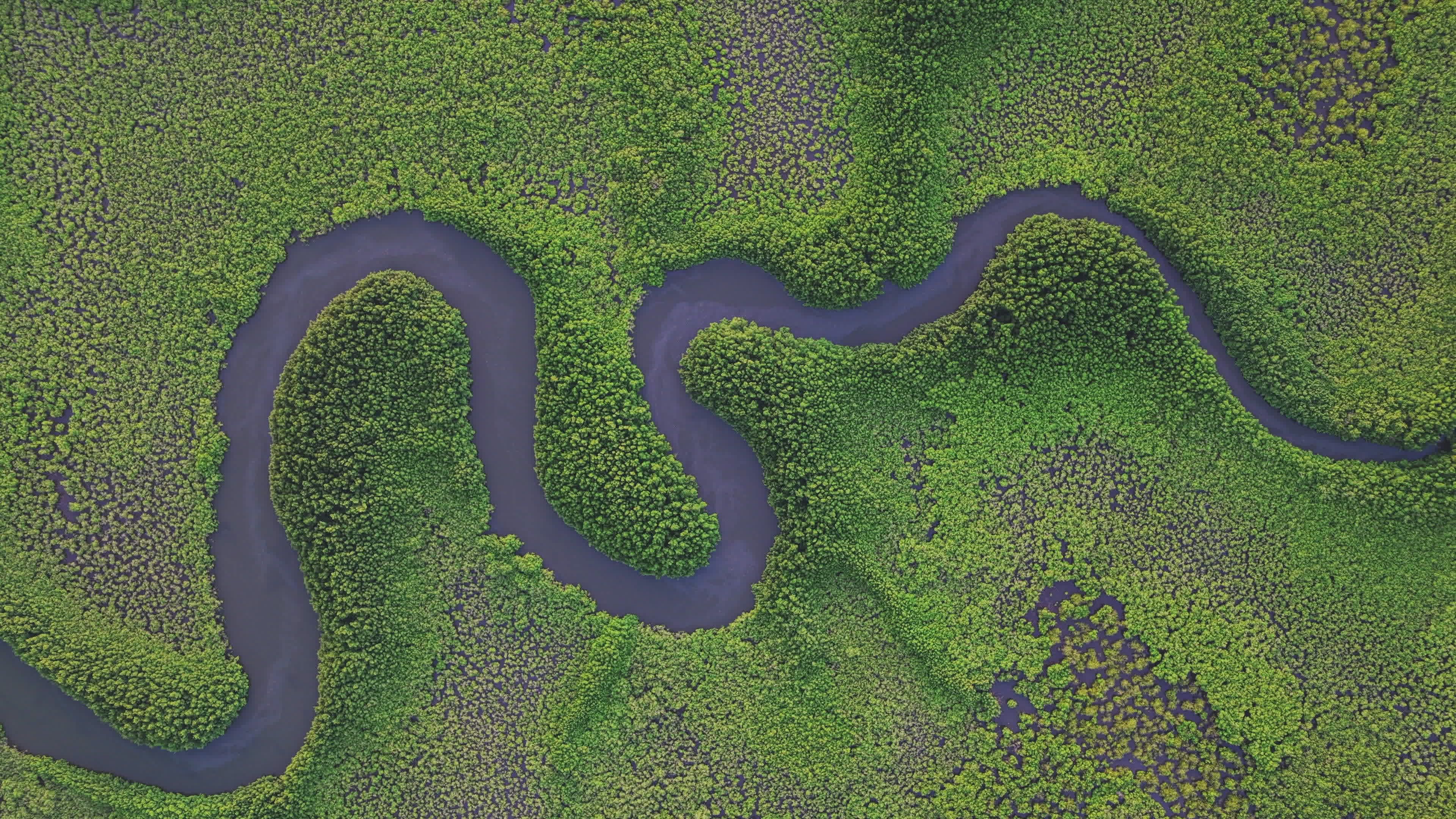 Drone Footage of a River Free Stock Video Footage, Royalty-Free 4K & HD ...