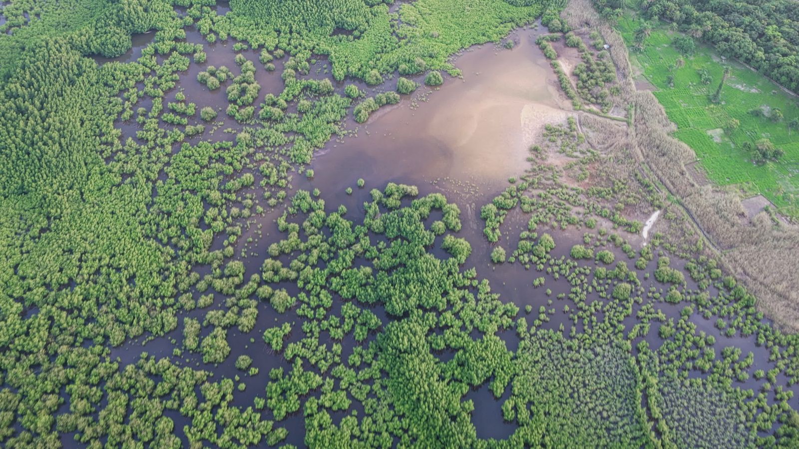 Scenic Aerial View of Lush Green Countryside Free Stock Video Footage ...