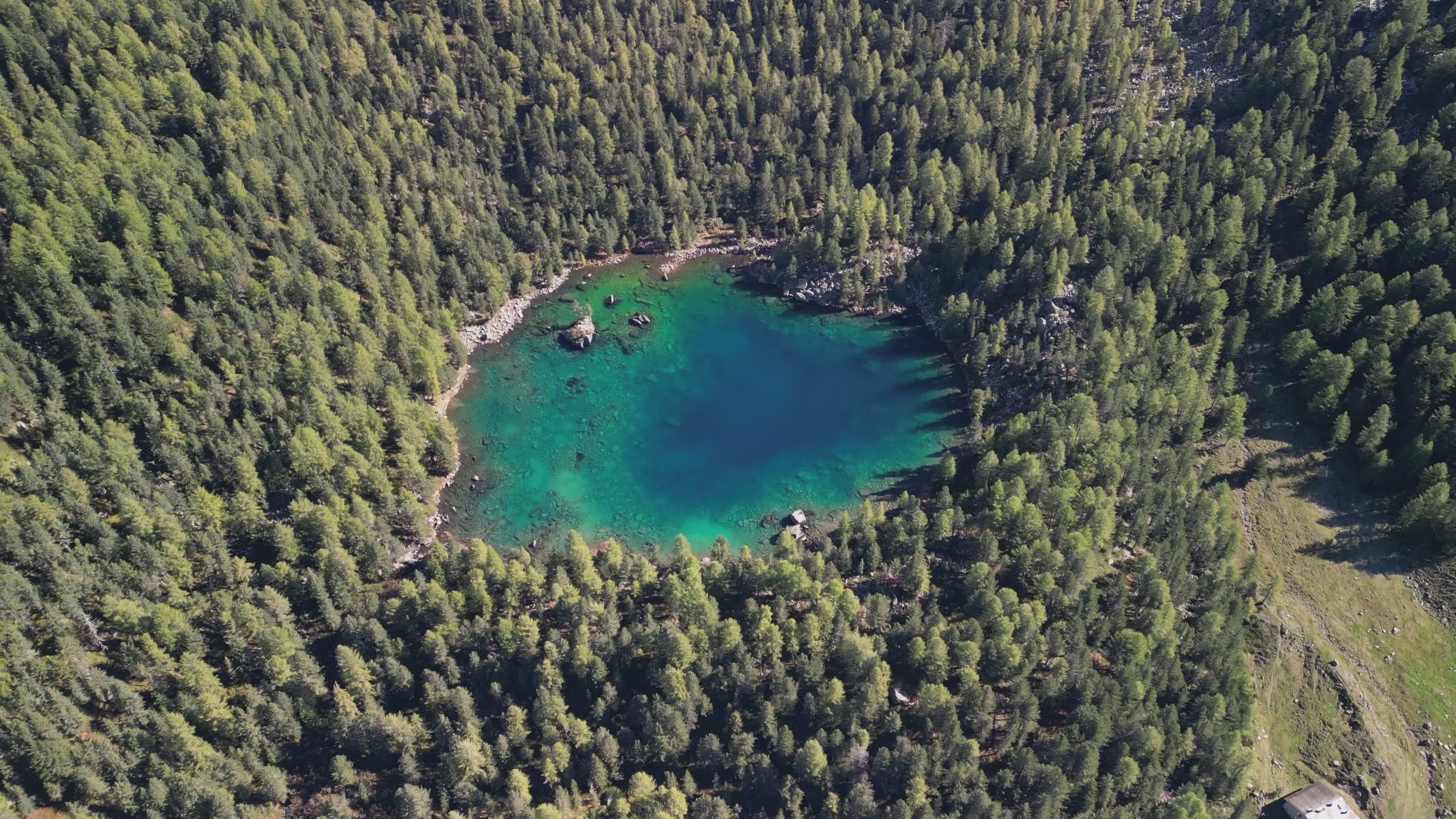 Stunning Aerial View of Forest Lake Free Stock Video Footage, Royalty ...