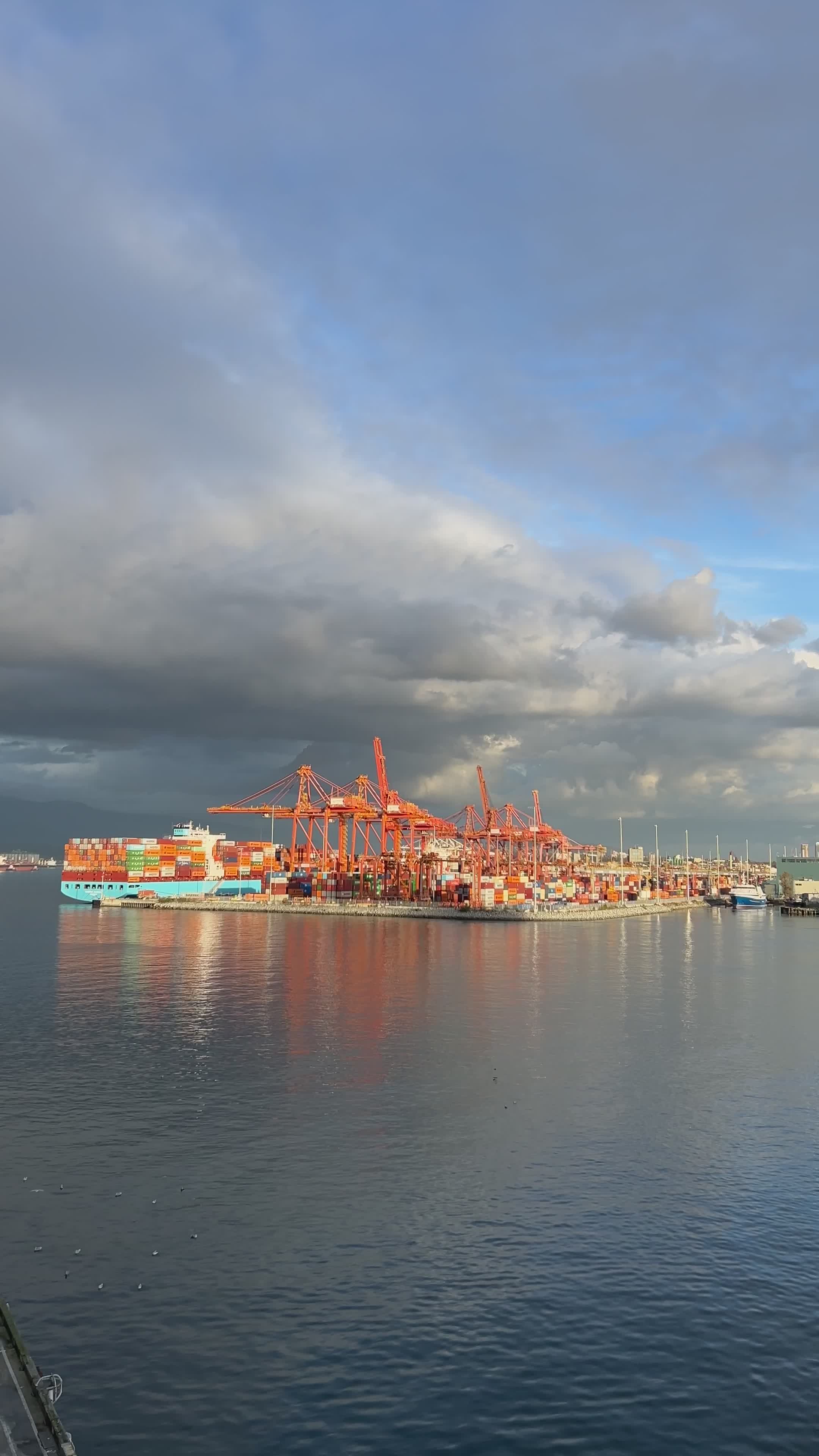 Colorful Shipping Containers at Busy Port Free Stock Video Footage ...