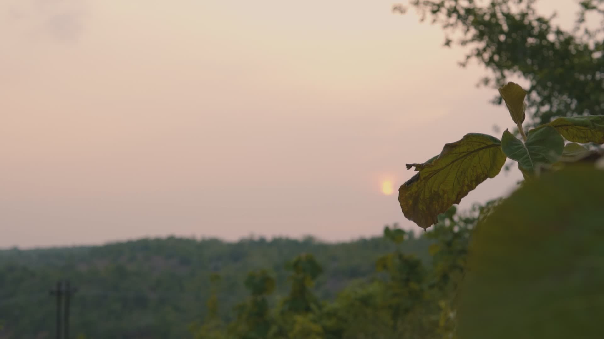 Video by Ranjeet  Chauhan