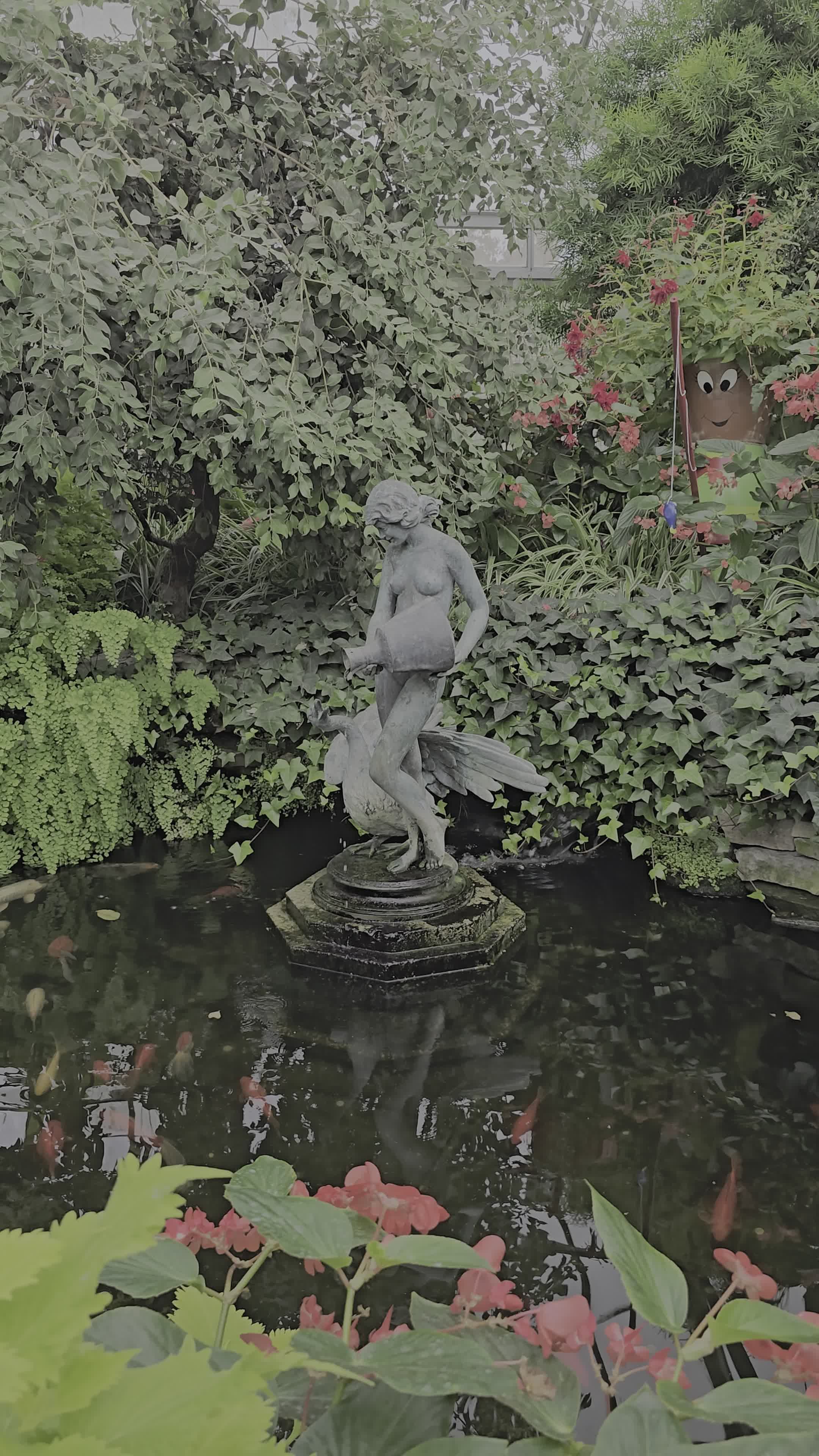深呼吸しよう🌿
🎥 Hao Le · Pexels
#癒し #リラックス #自然 #relax #healing