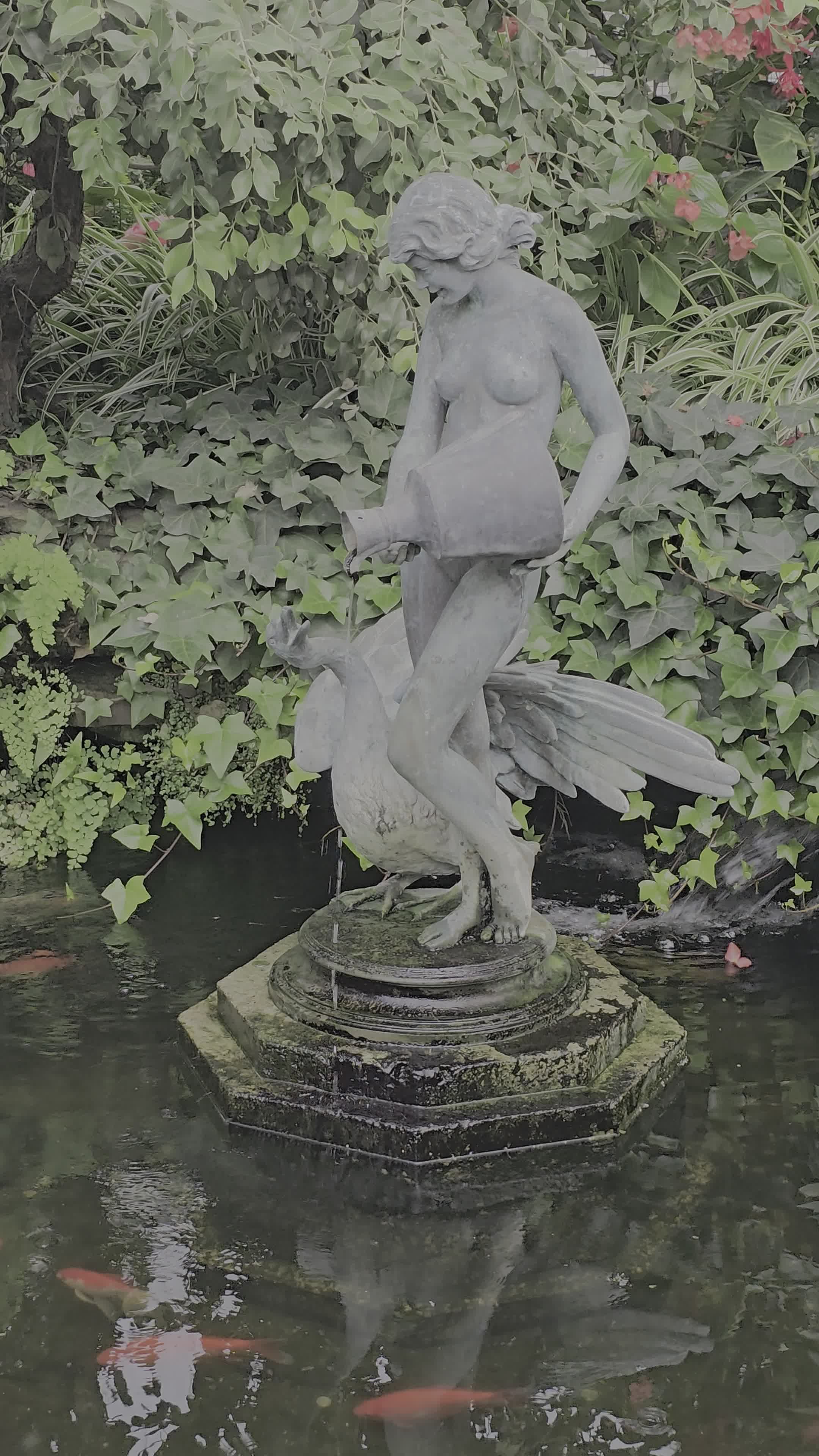 心が落ち着く
🎥 Hao Le · Pexels
#癒し #リラックス #自然 #relax #healing