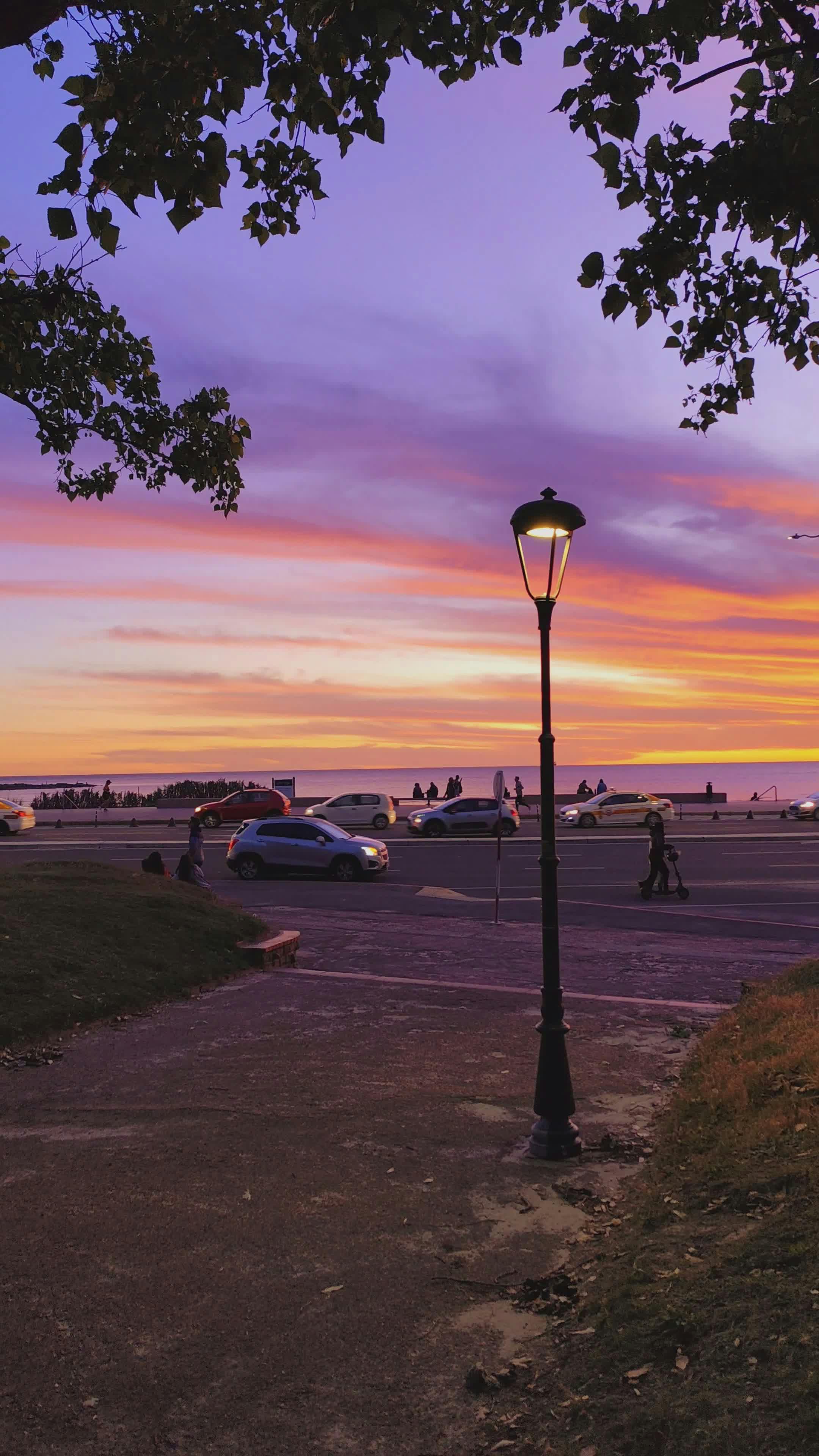 Video by GERMAN SUAREZ