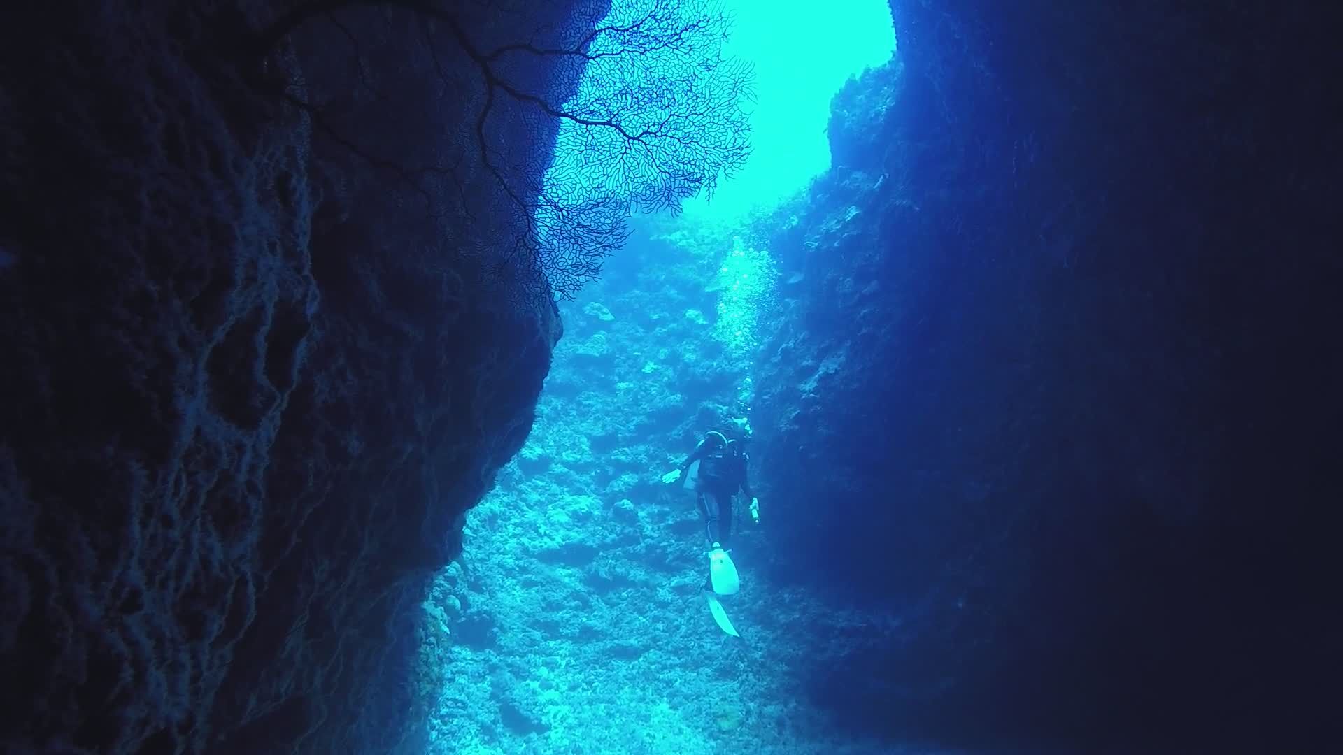 Diver Exploring Underwater Cave with Sunlight Free Stock Video Footage ...