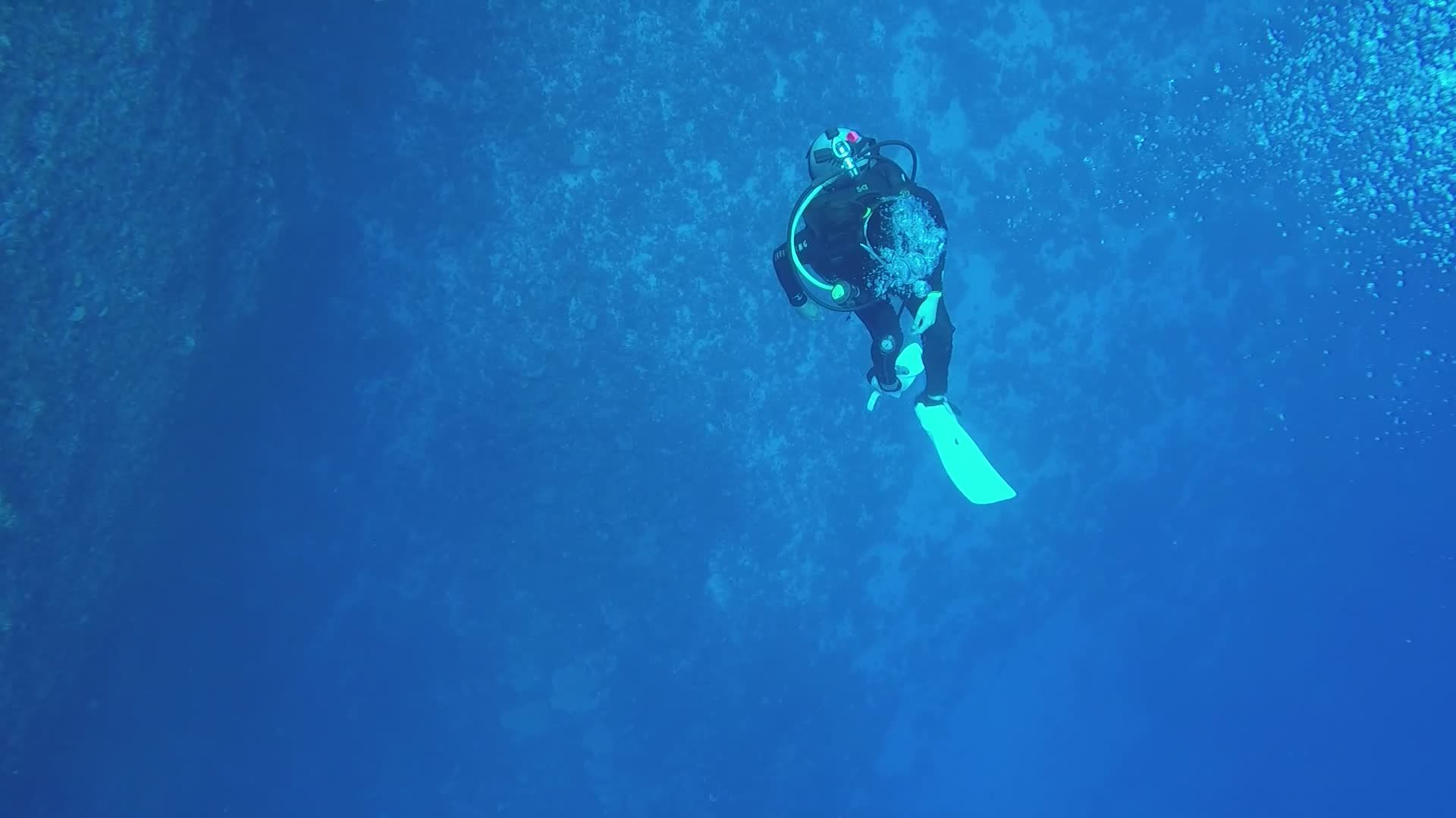 Solo Scuba Diver Exploring Vibrant Coral Reef Free Stock Video Footage ...