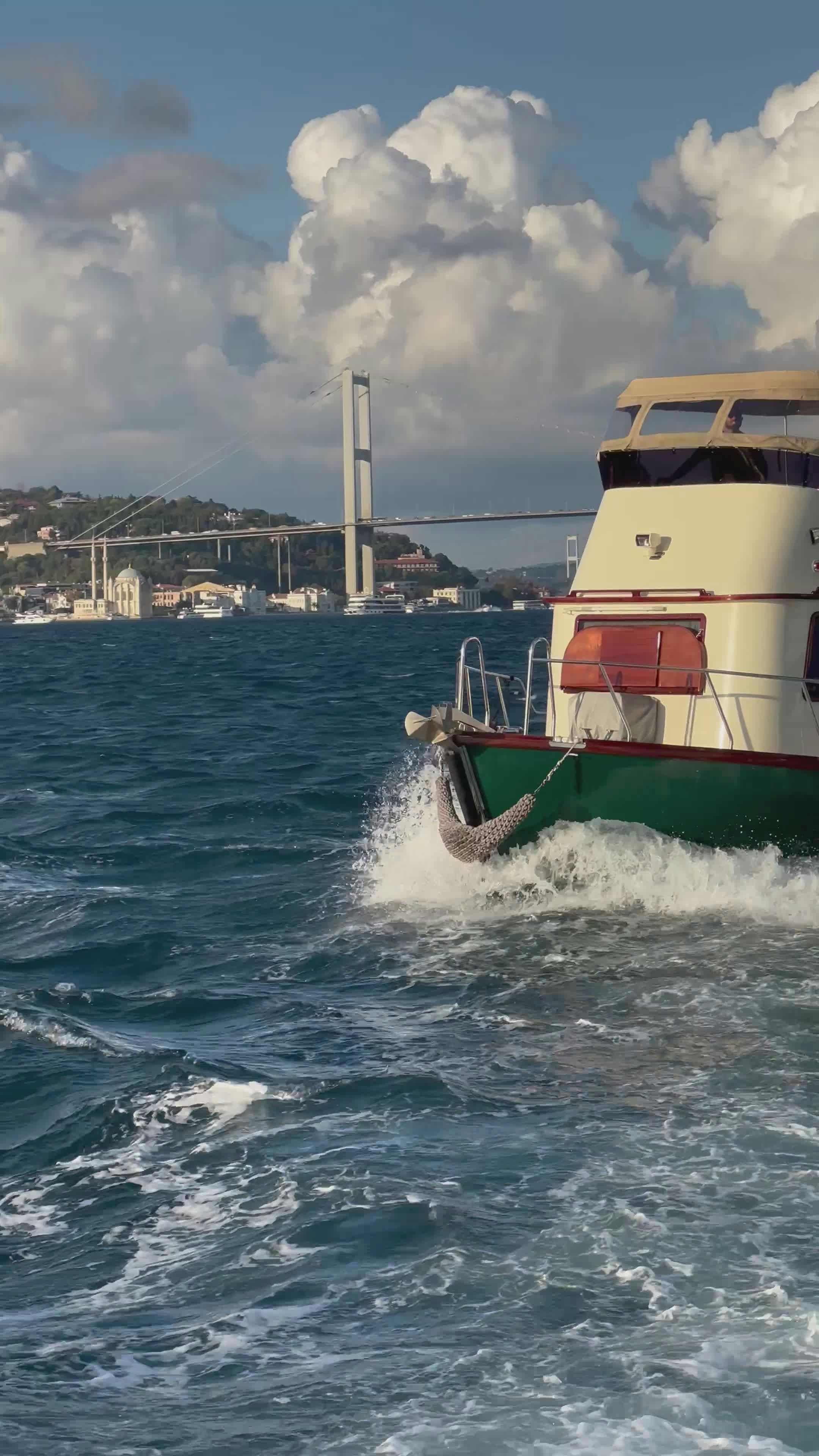 Video by Elif Çamlı