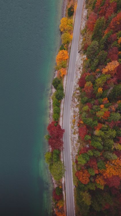 Aerial View of Vibrant Autumn Forest and Road Free Stock Video Footage ...