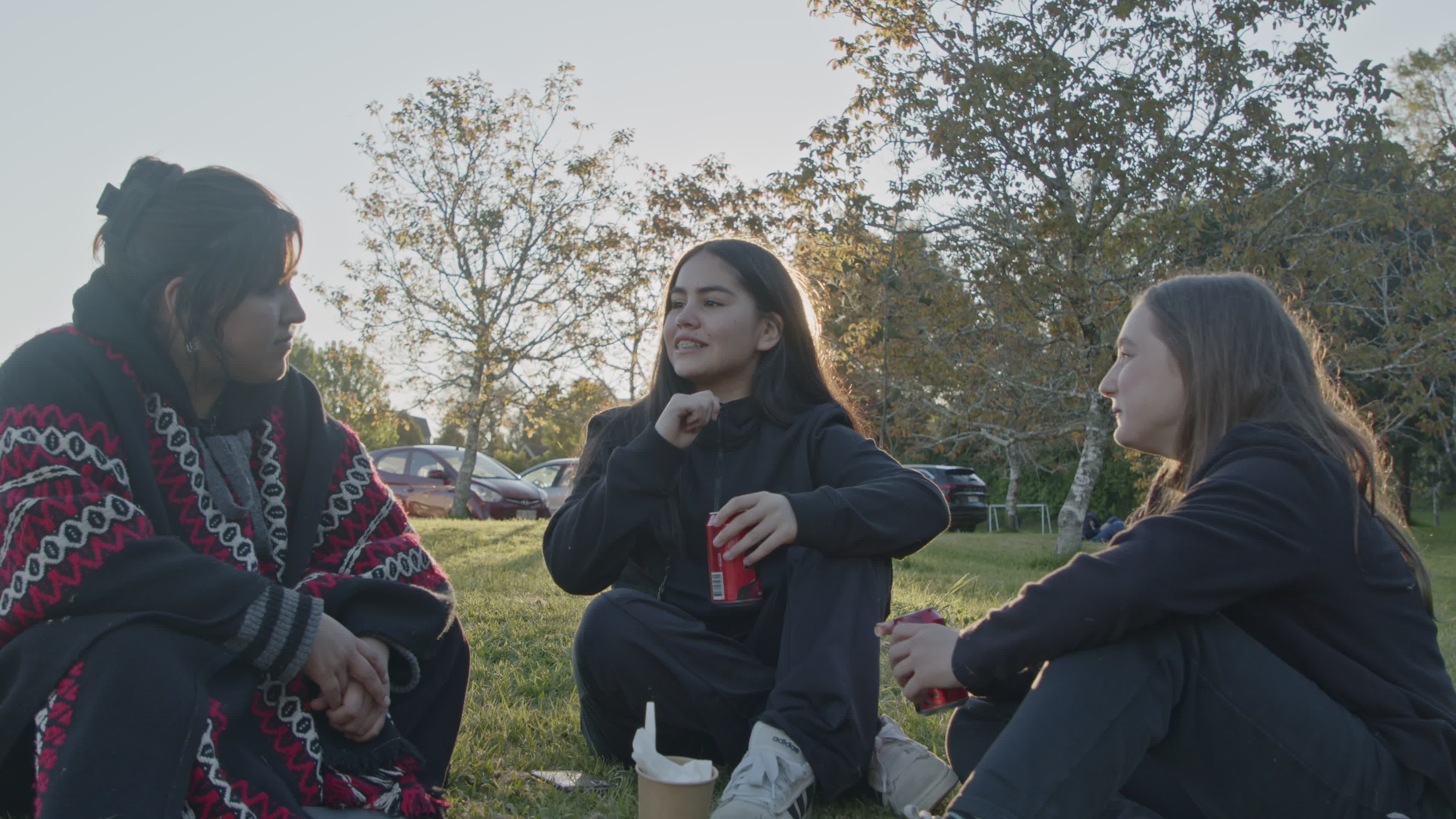 Friends Relaxing Outdoors in Autumn Park Free Stock Video Footage ...