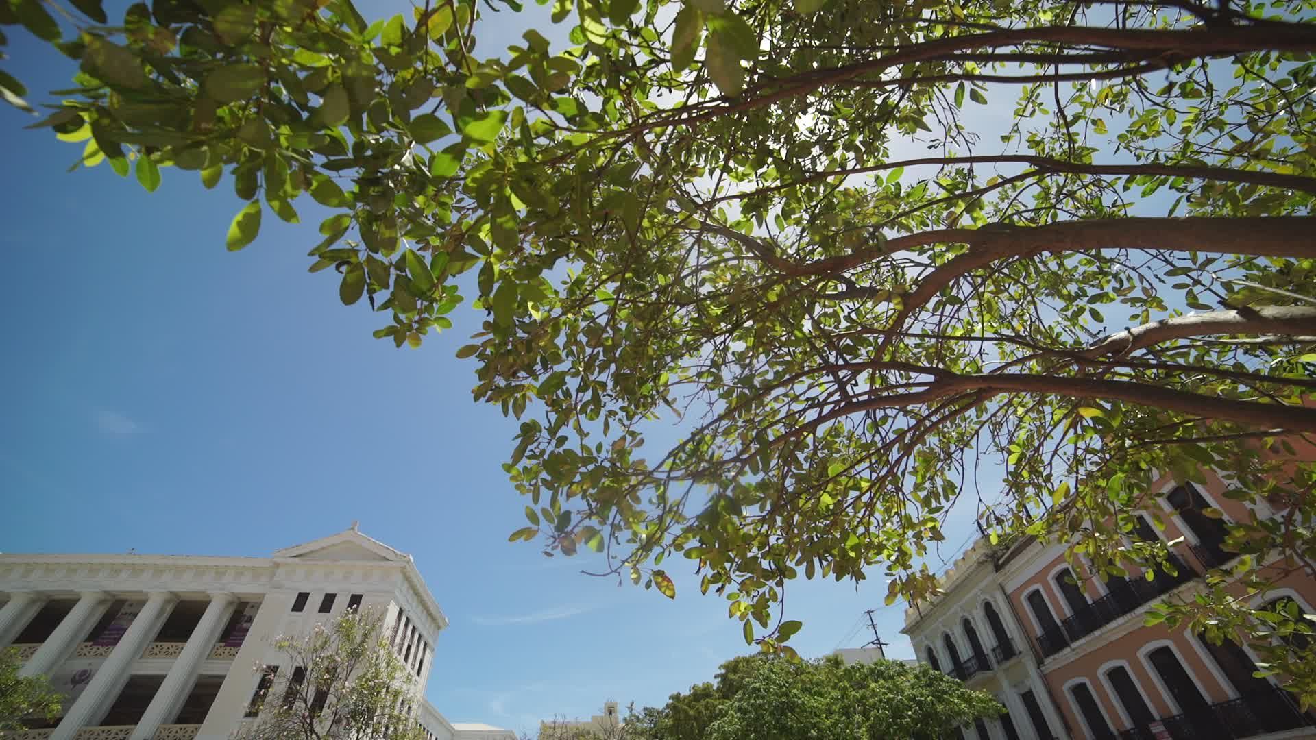 Charming Urban Square on Sunny Day Free Stock Video Footage, Royalty ...
