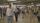 busy people