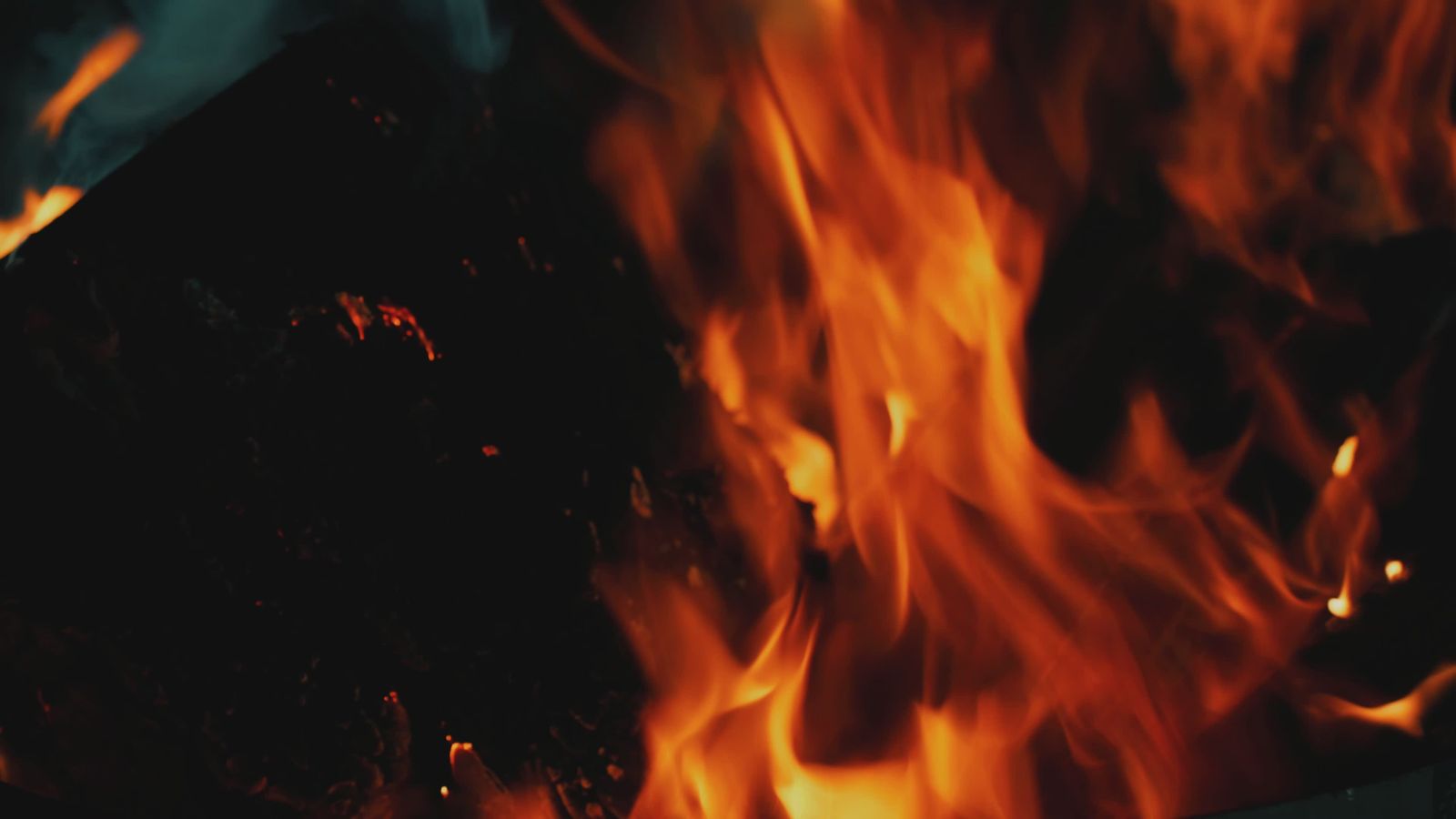 Warm and Inviting Campfire Flames Free Stock Video Footage, Royalty ...