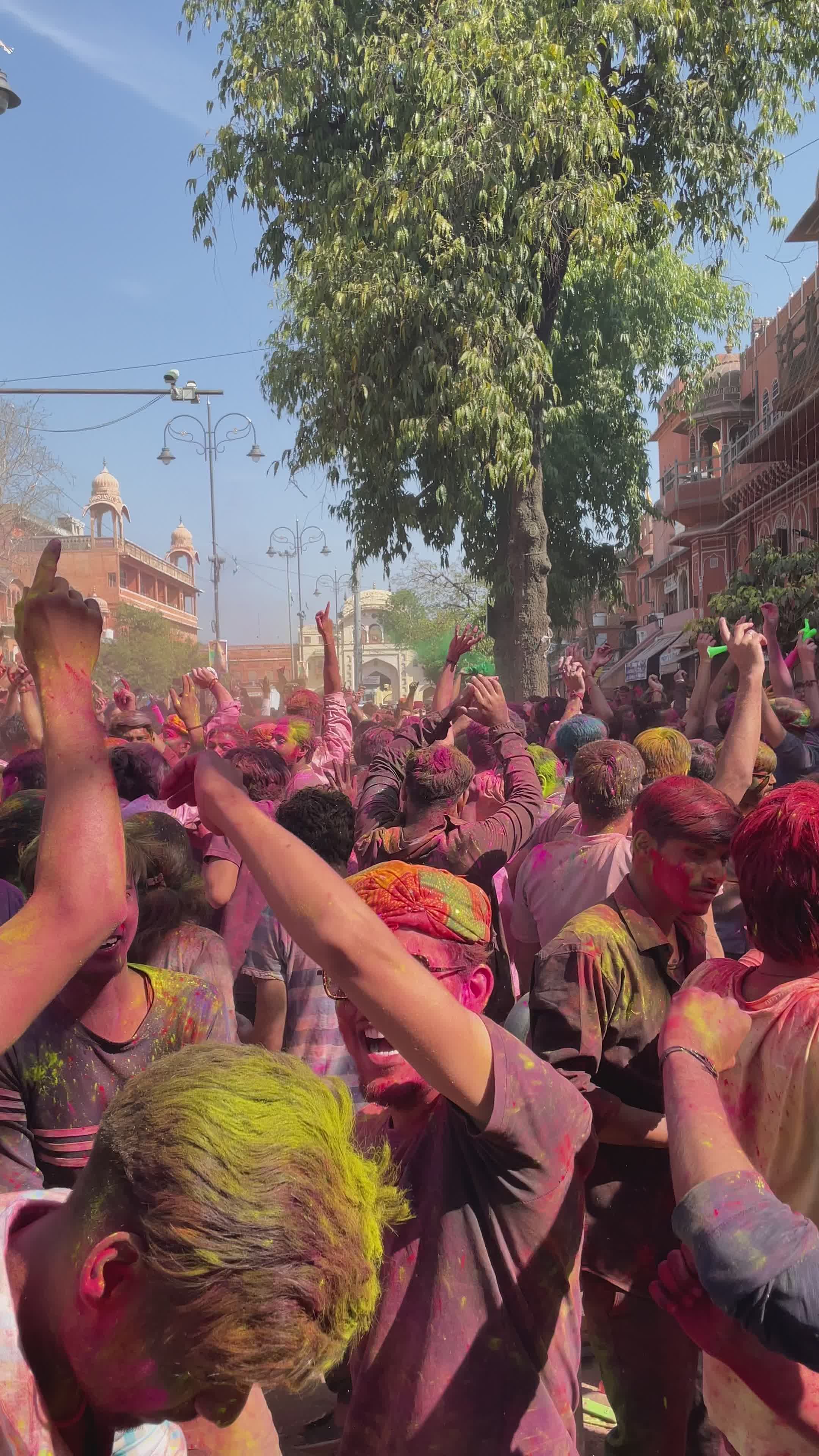 Vibrant Celebration at Holi Festival in India Free Stock Video Footage ...