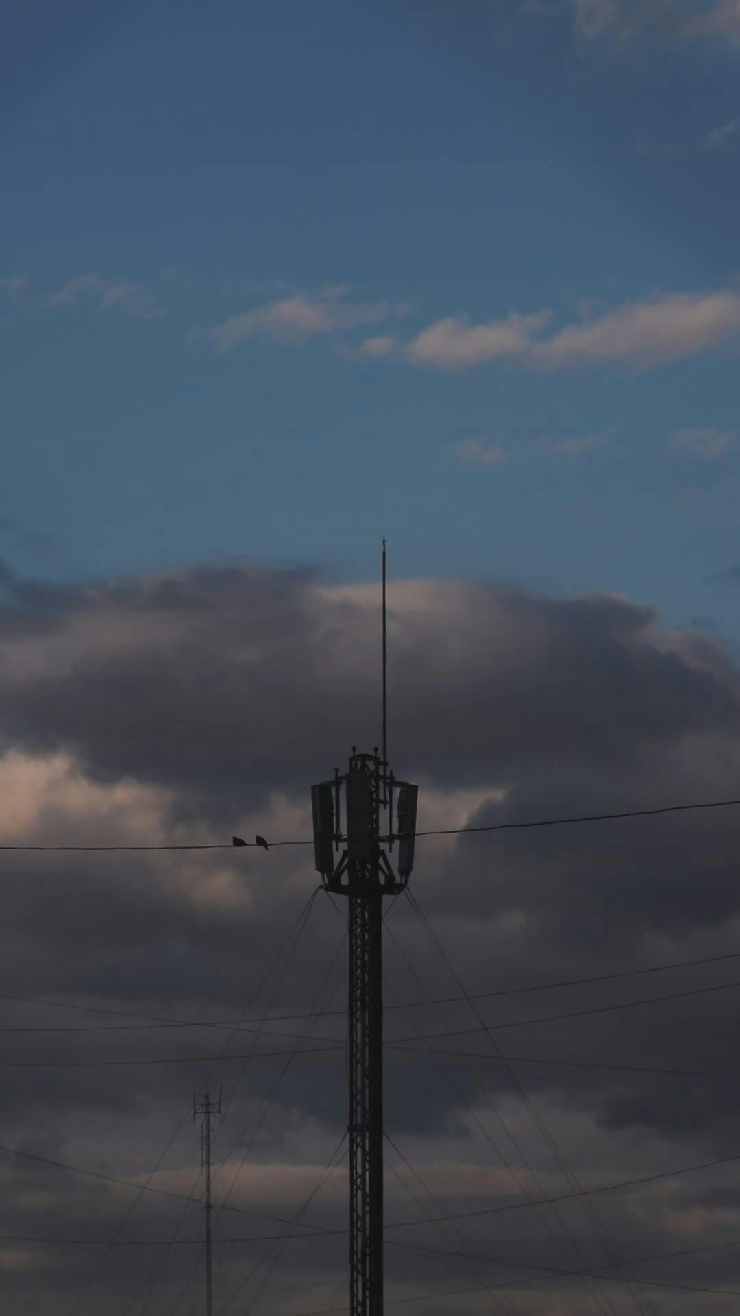 Video by Alex Dos Santos