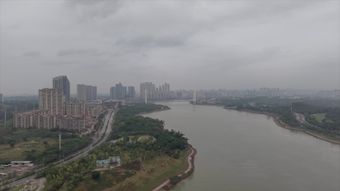 伊春免费下载视频素材高清视频视频素材