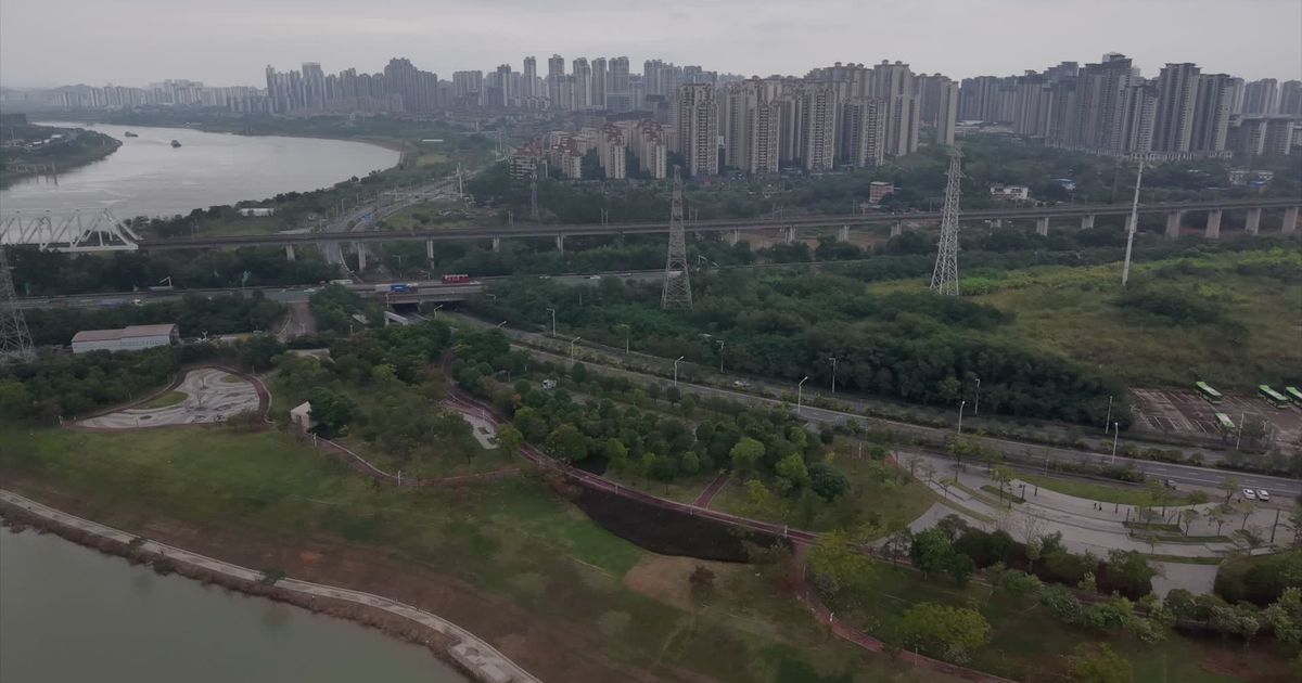 视频素材预览