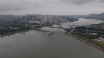 慈禧高清视频视频素材