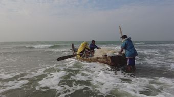 渔民捕鱼视频素材高清视频高清视频免费下载视频素材