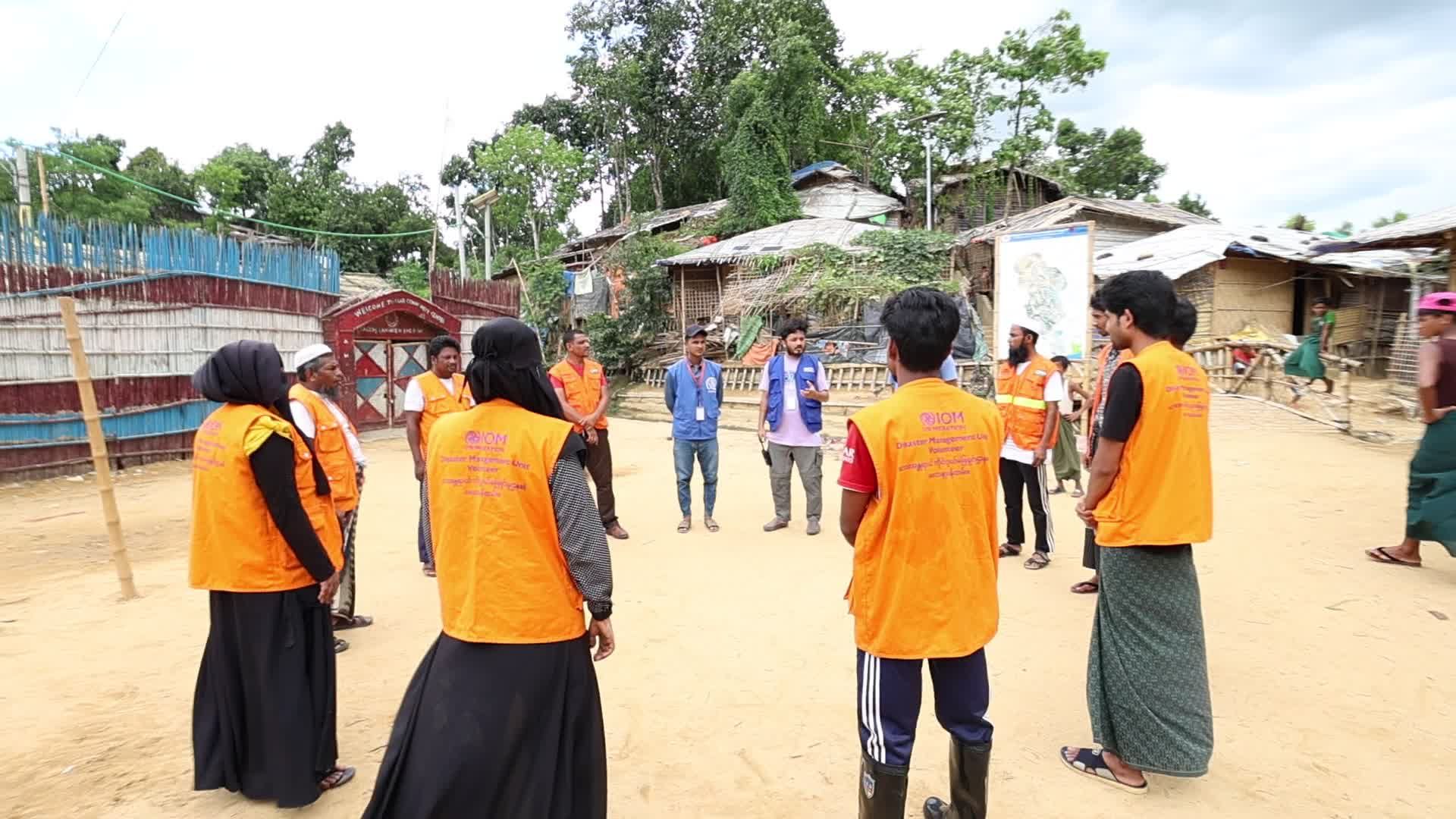 Ngo video