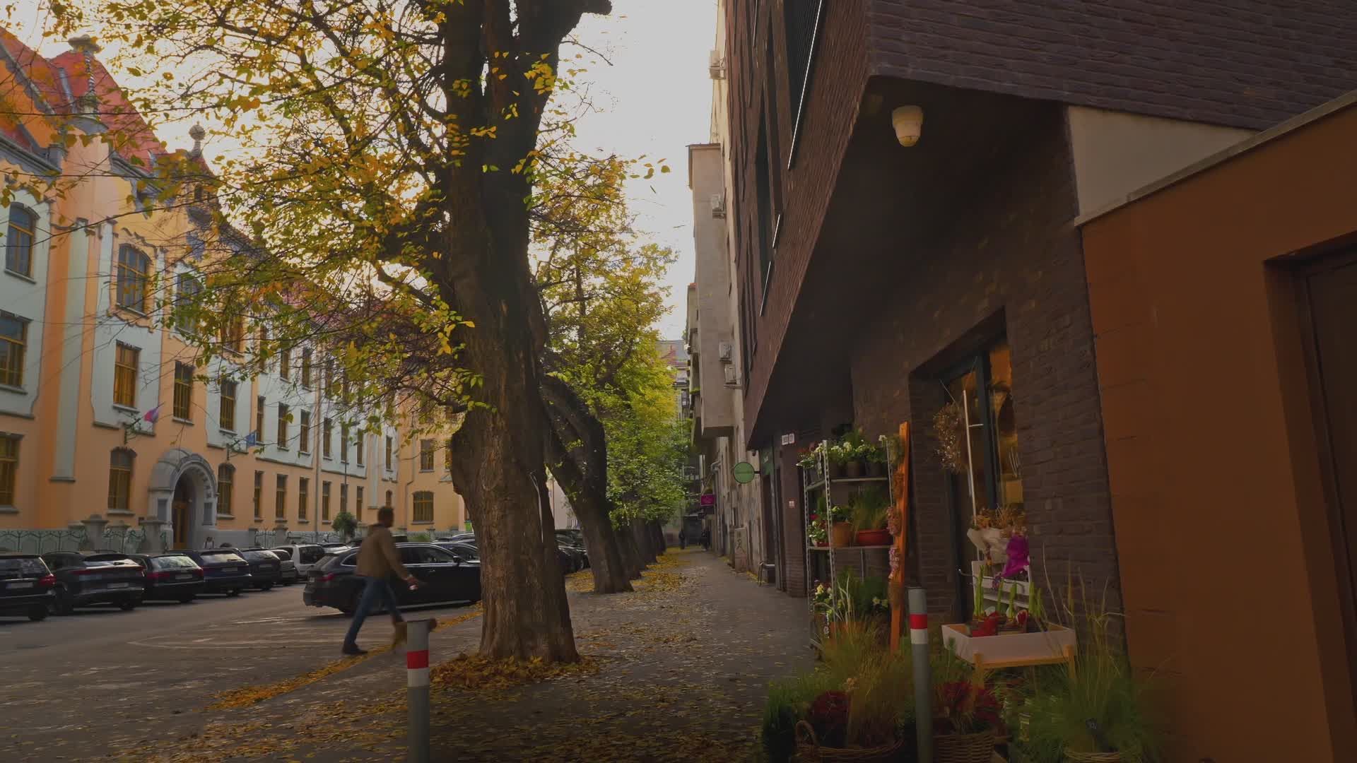 charming autumn city street scene 34597901