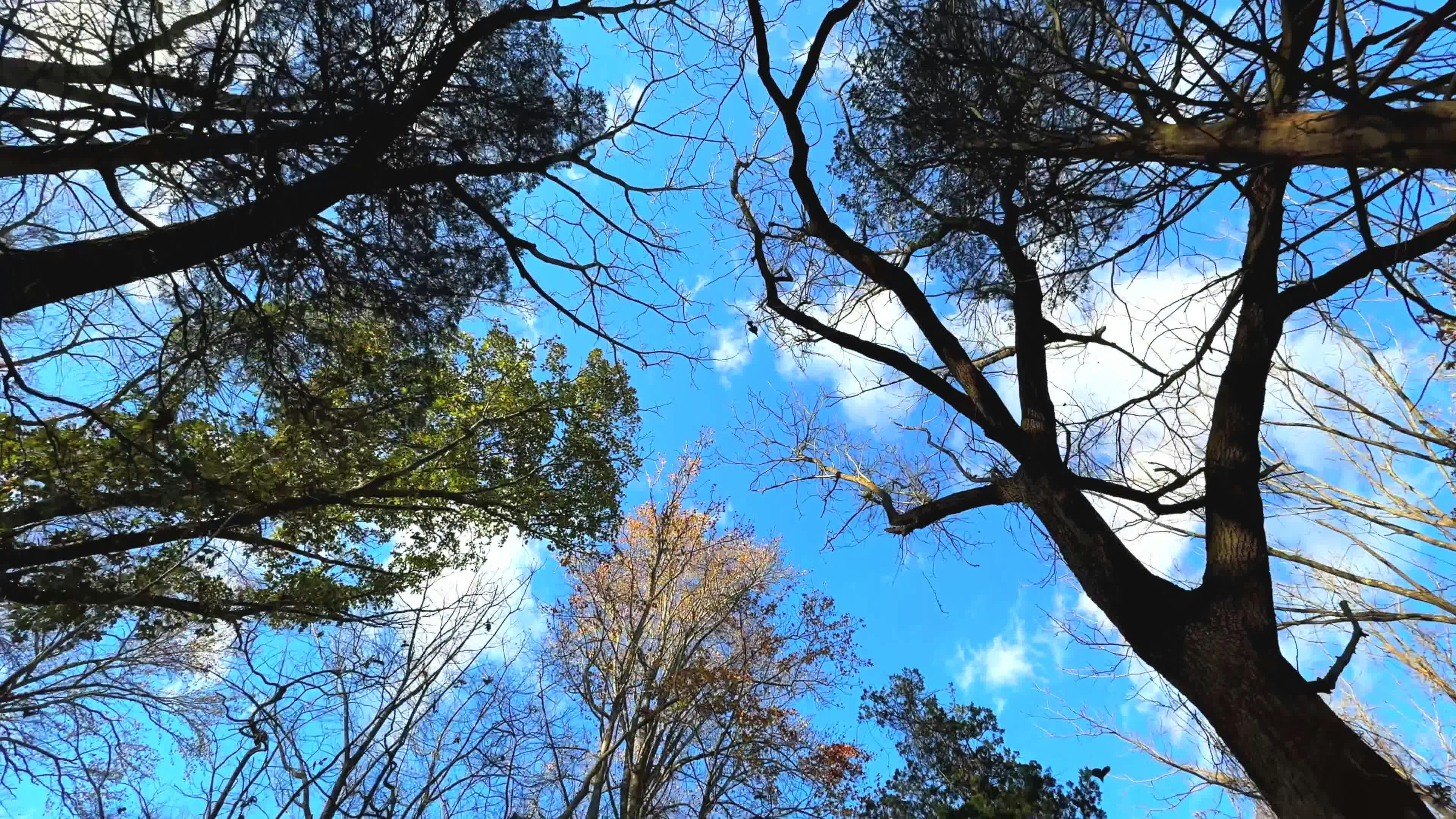 Video by AP Vibes