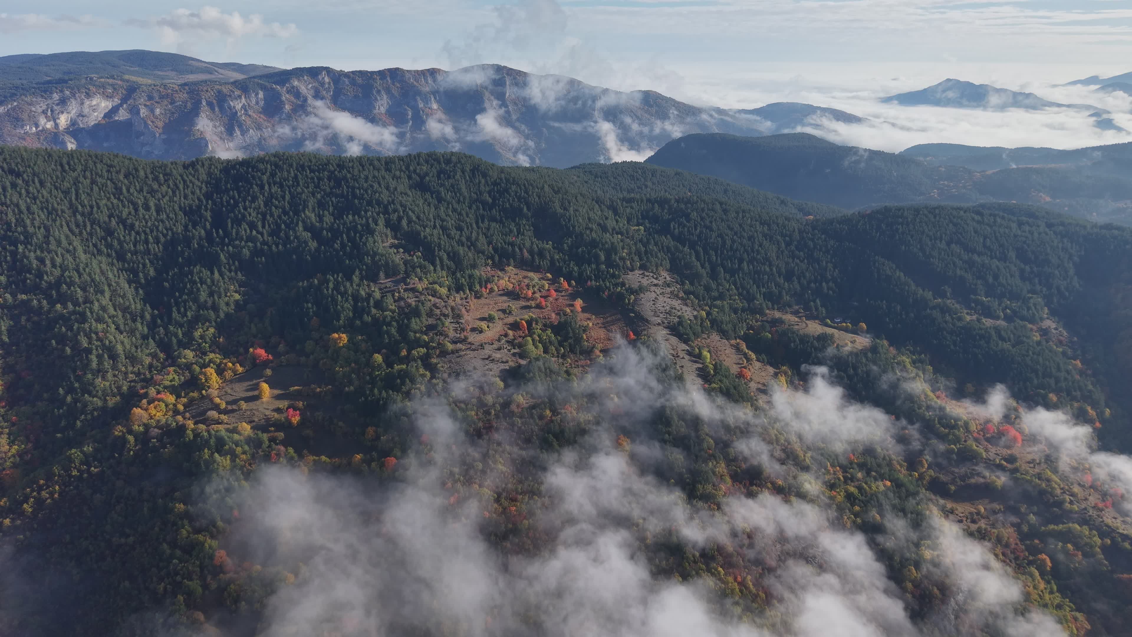 Aerial Autumn View of Misty Forest Mountains Free Stock Video Footage ...