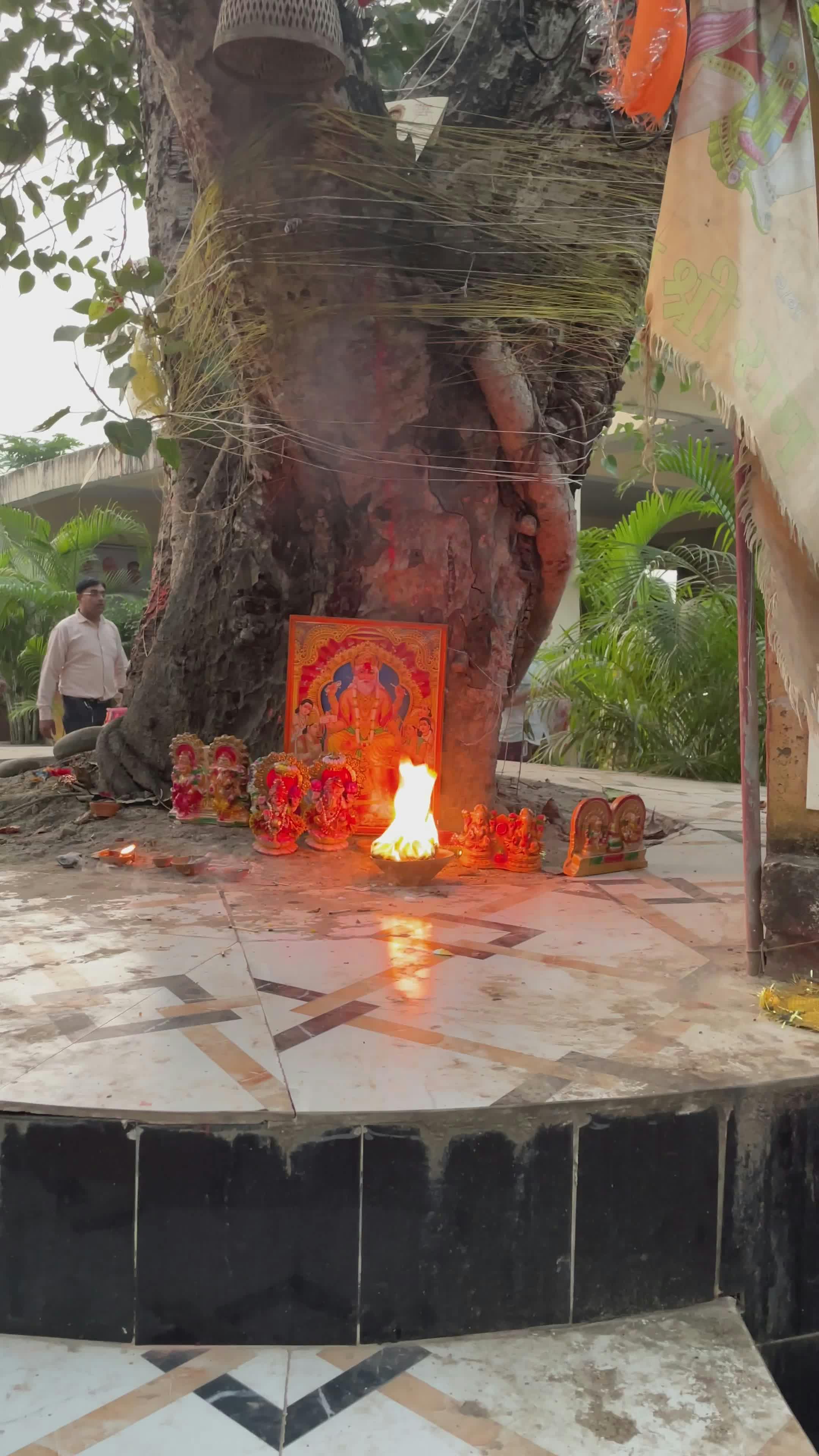 Serene Outdoor Hindu Ritual Under Sacred Tree Free Stock Video Footage ...