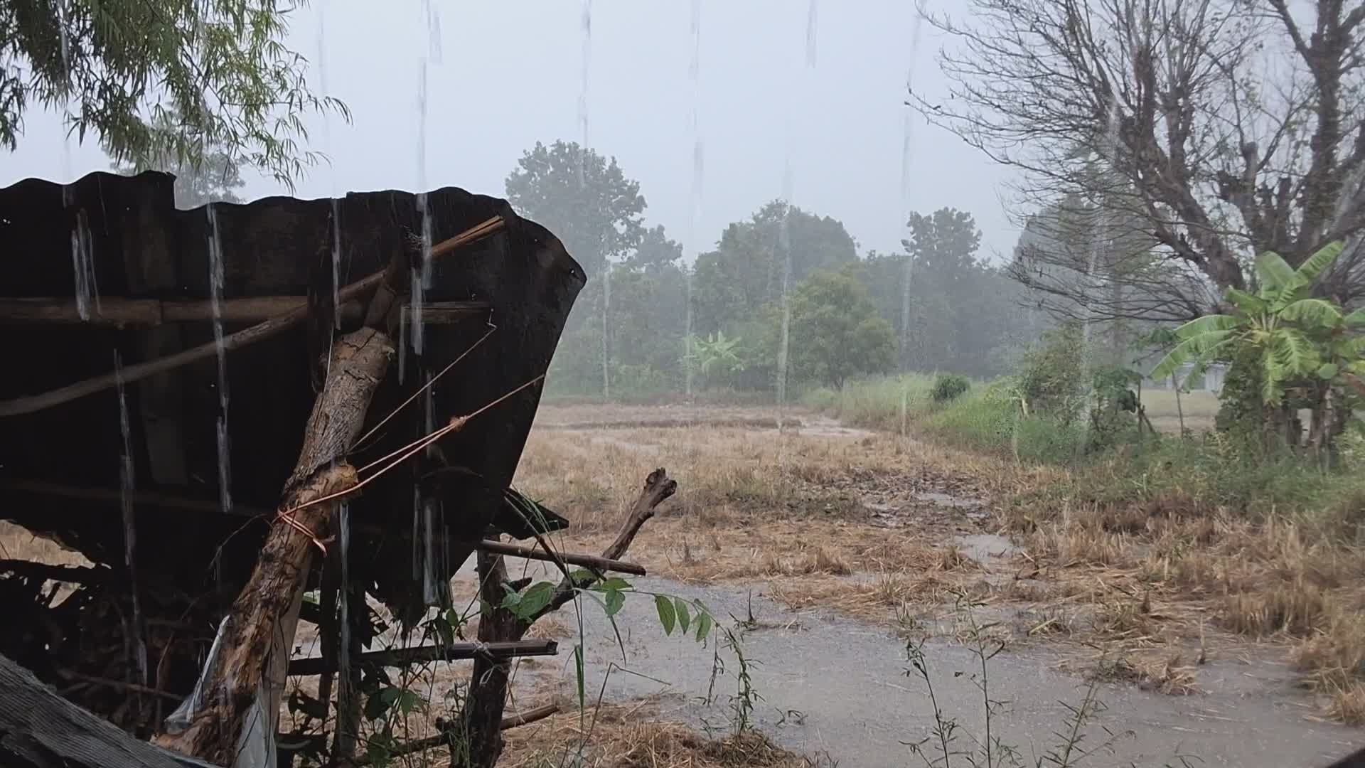 Paisaje Rural Tranquilo Durante La Lluvia · Vídeo de stock gratuito