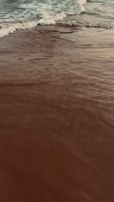 igrid.in's ocean waves sunset video