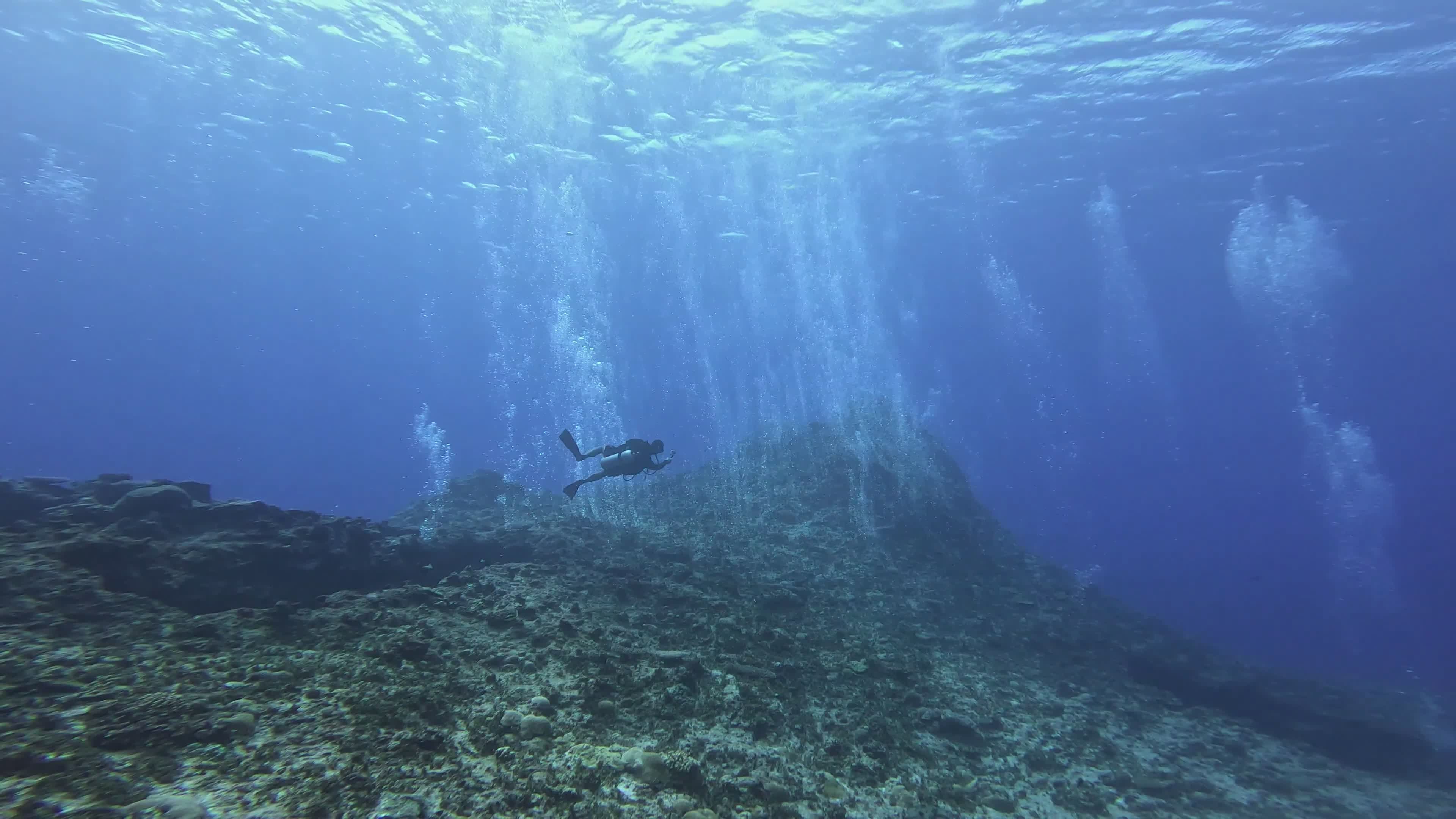 Stunning Underwater Scenery with Diver Free Stock Video Footage ...