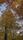 autumn nature