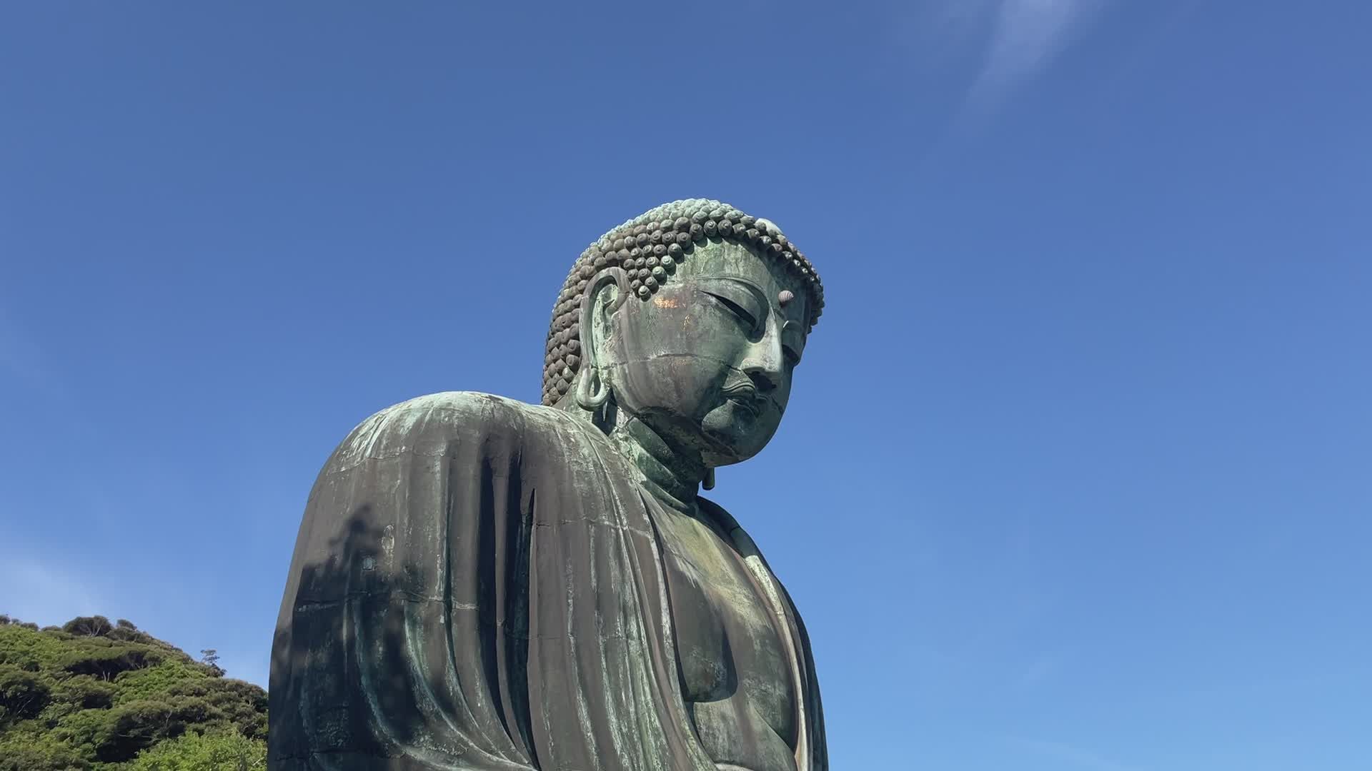 Great Buddha of Kamakura with Visitors in Summer Free Stock Video ...
