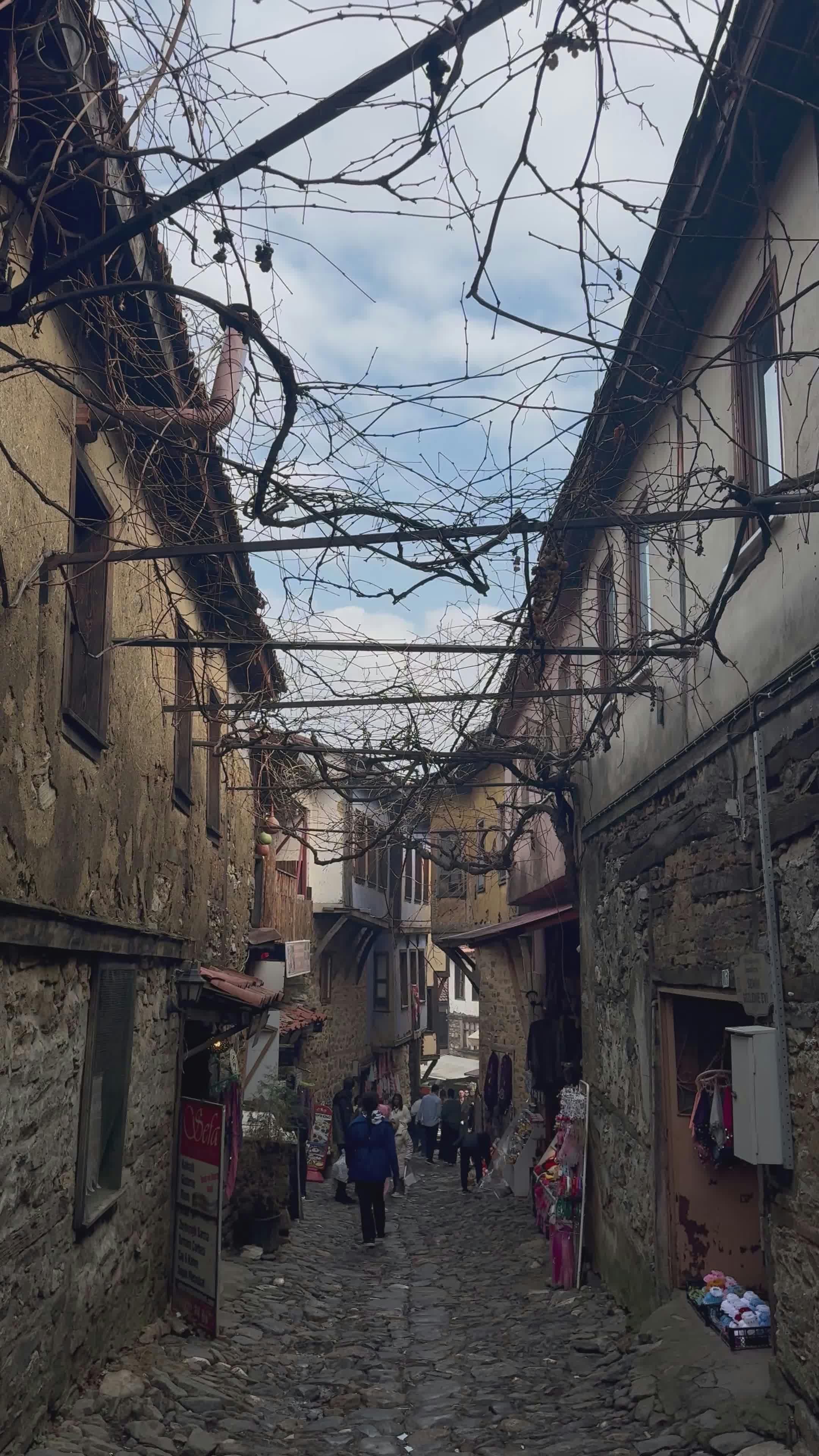 Video by Elif Çamlı