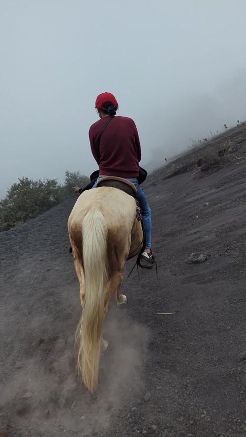 Horseback Riding Videos, Download The BEST Free 4k Stock Video Footage ...