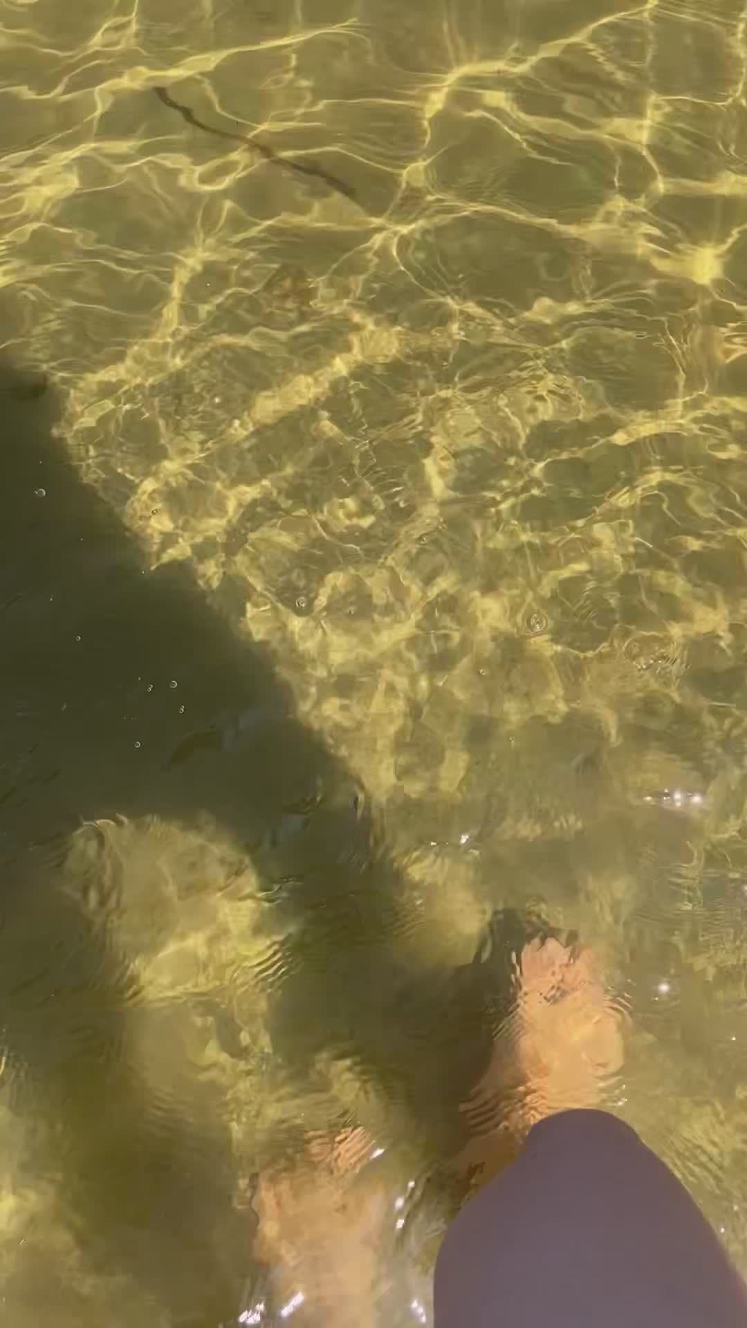 feet gently wading in sunlit shallow water 34684300