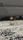 funny cat video