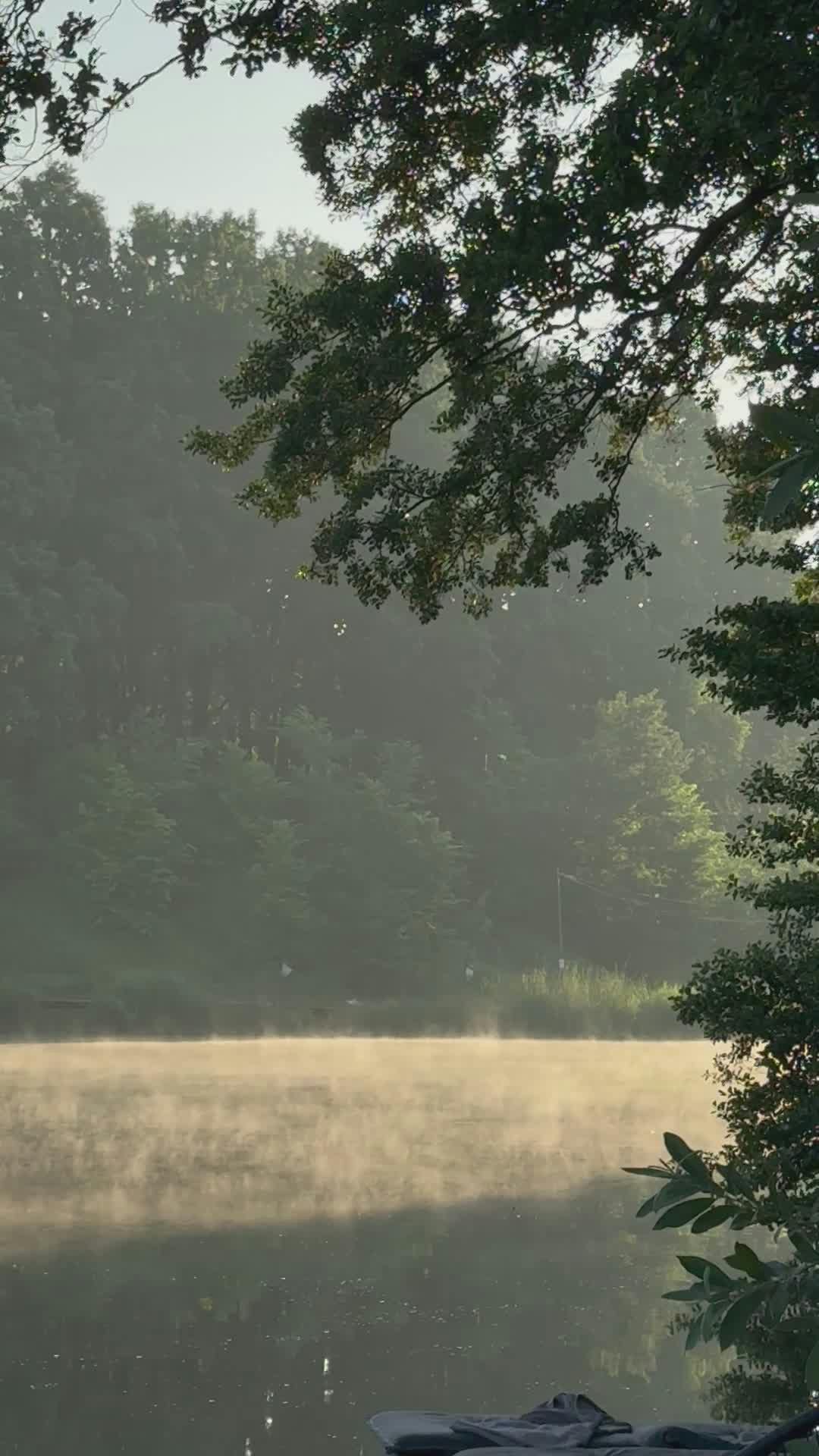 Video by Olha Maltseva