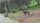 nature animals