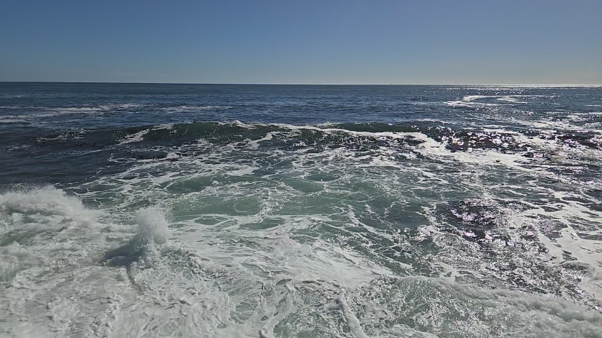 Video by Jay VN