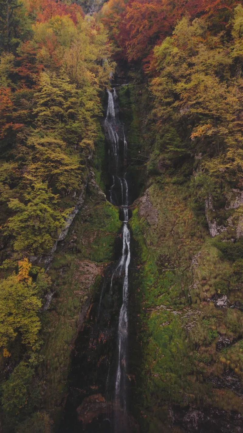 Stunning autumn waterfall in serene forest