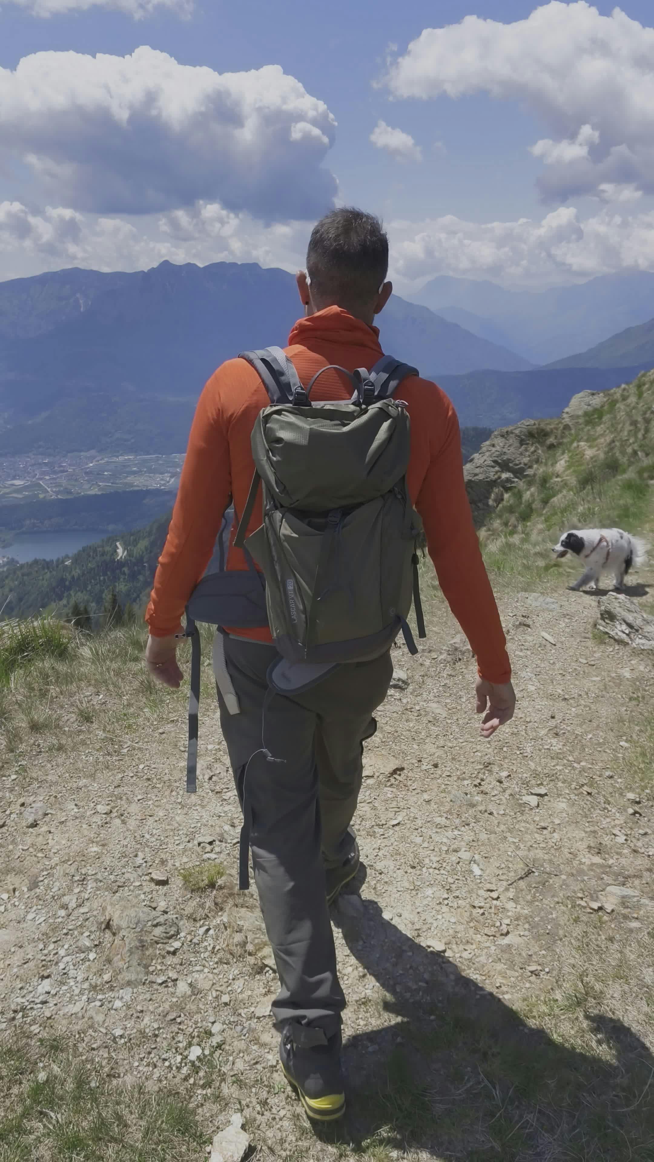 hiker exploring mountain trail with dog 34700249