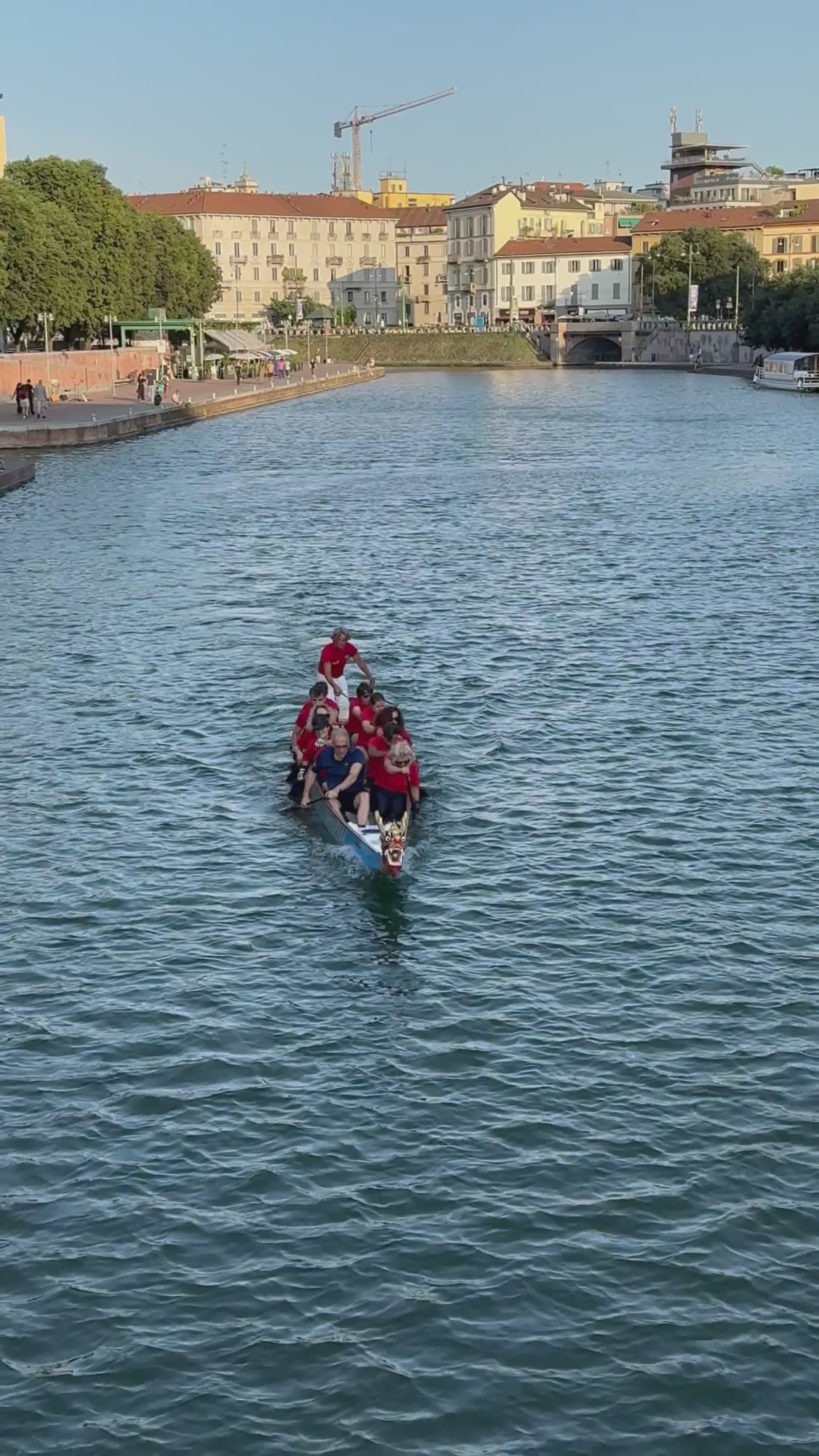 Team Rowing on Urban River in Summer Free Stock Video Footage, Royalty ...