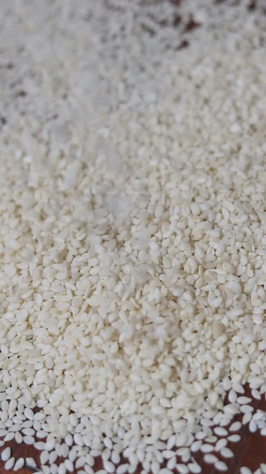 Video by Afaf Bechiche