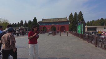 景区出入口免费下载视频素材视频素材