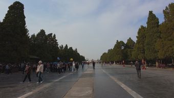 天坛视频素材高清视频免费下载视频素材