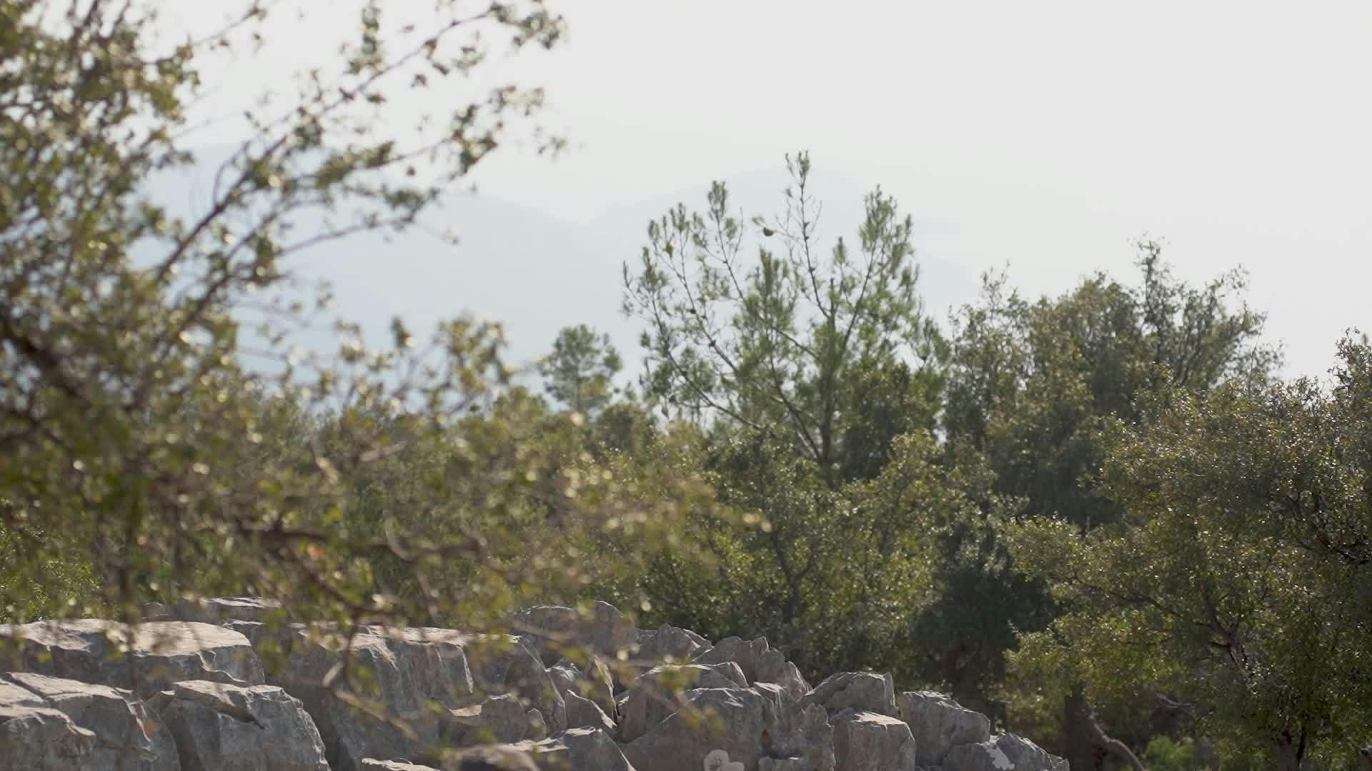 Video by Özgür Sürmeli