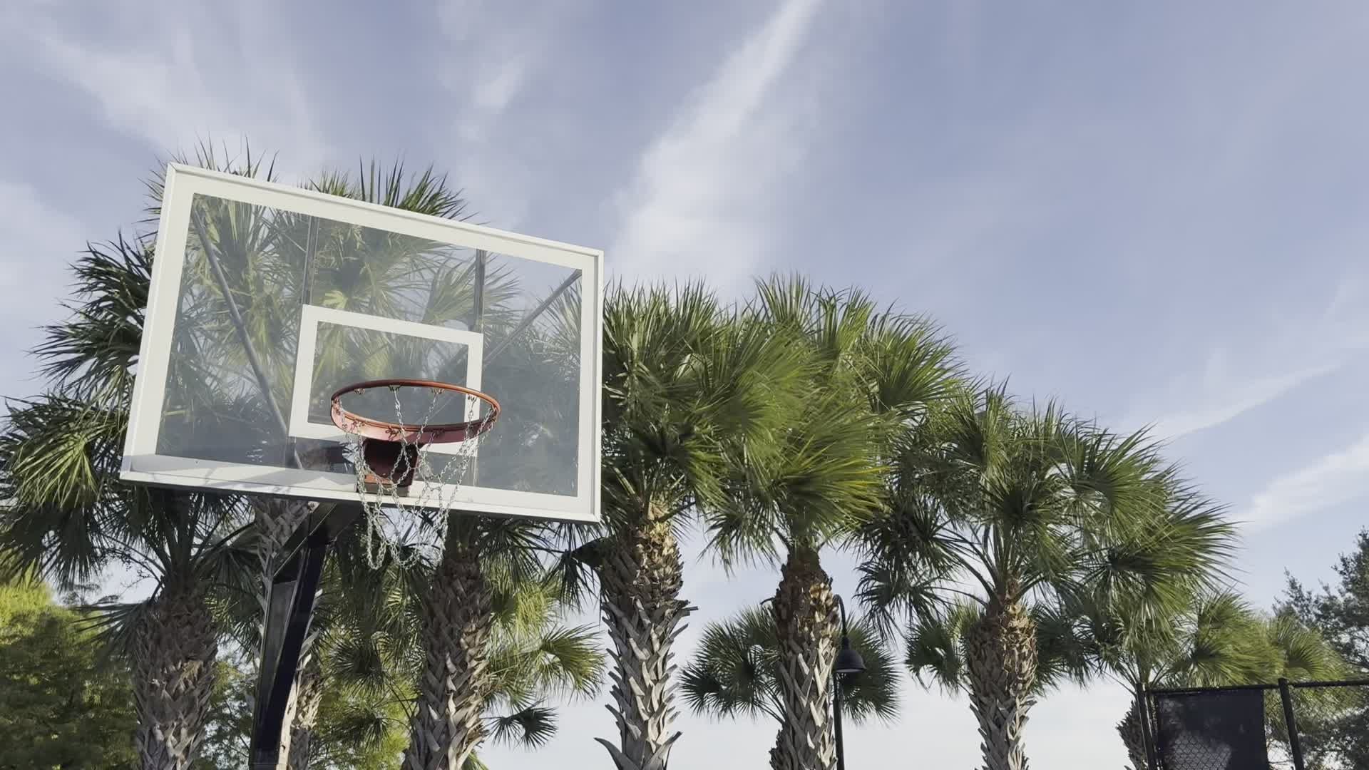 Basketball Commentators With Shaq Videos, Download The BEST Free 4k ...