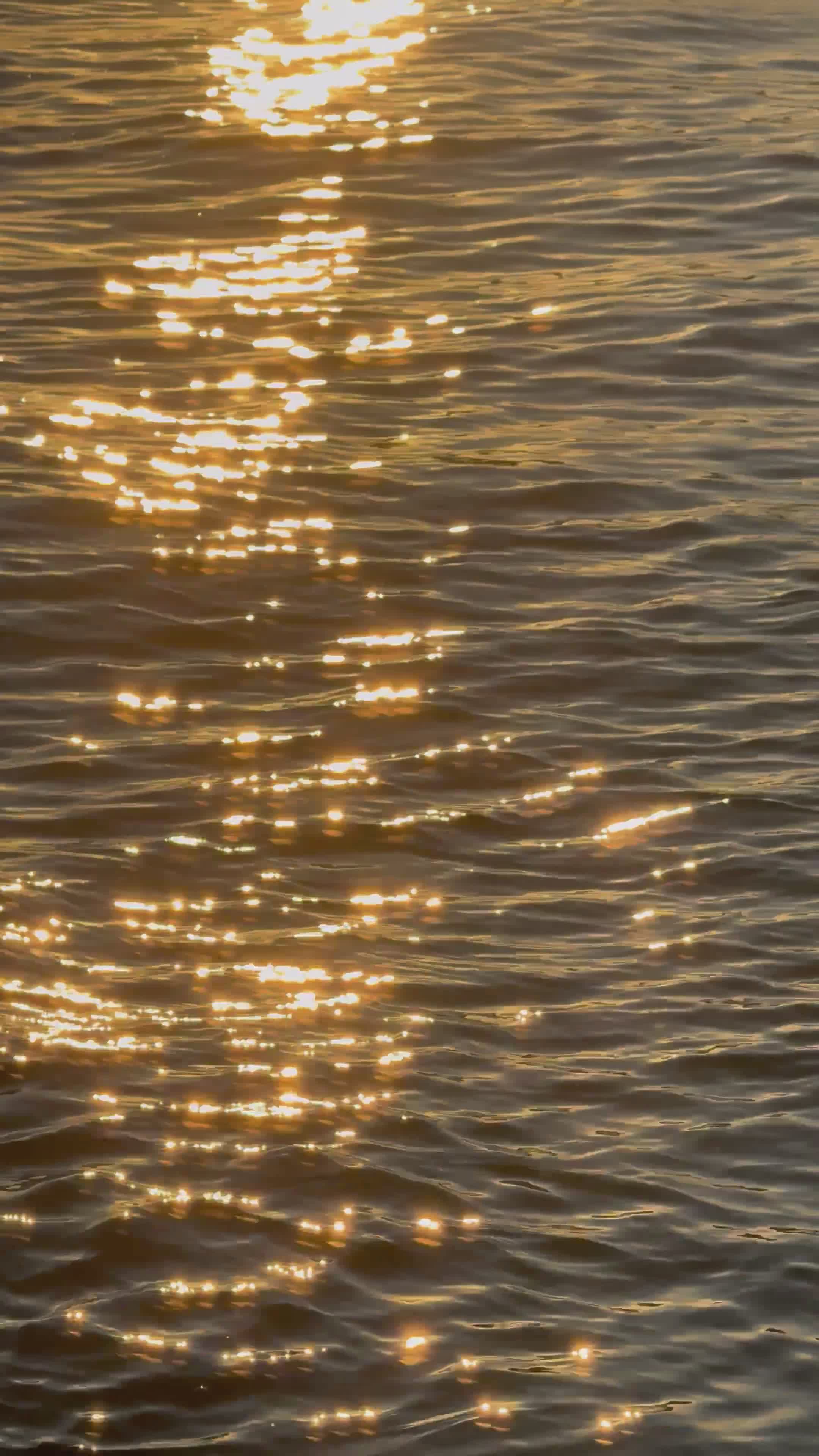 Golden Sunlight Reflecting on Calm Water Free Stock Video Footage ...