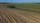 agricultural