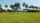paddy field